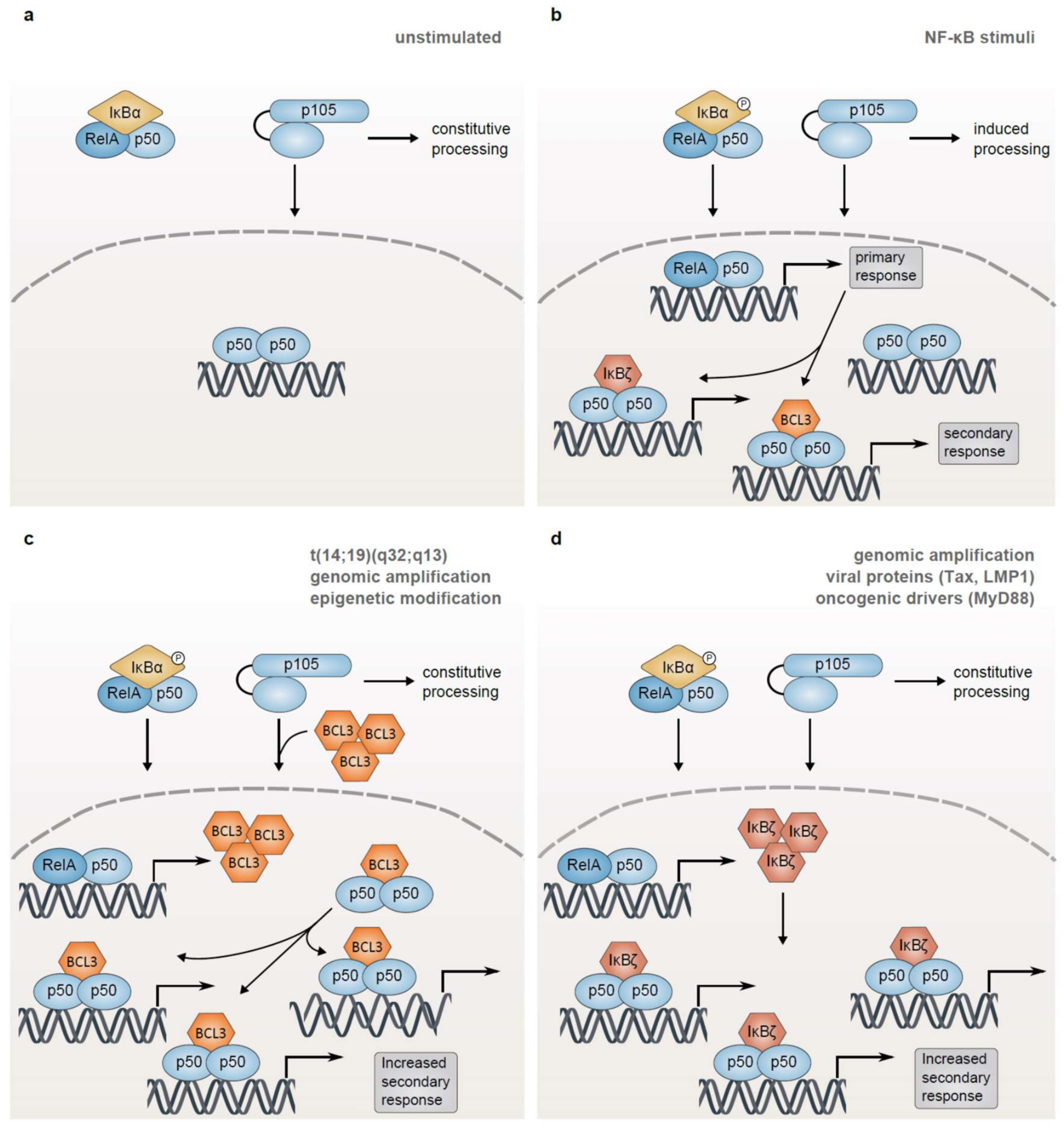 Biomedicines 06 00038 g006 Biomedicines 06 00038 g006
