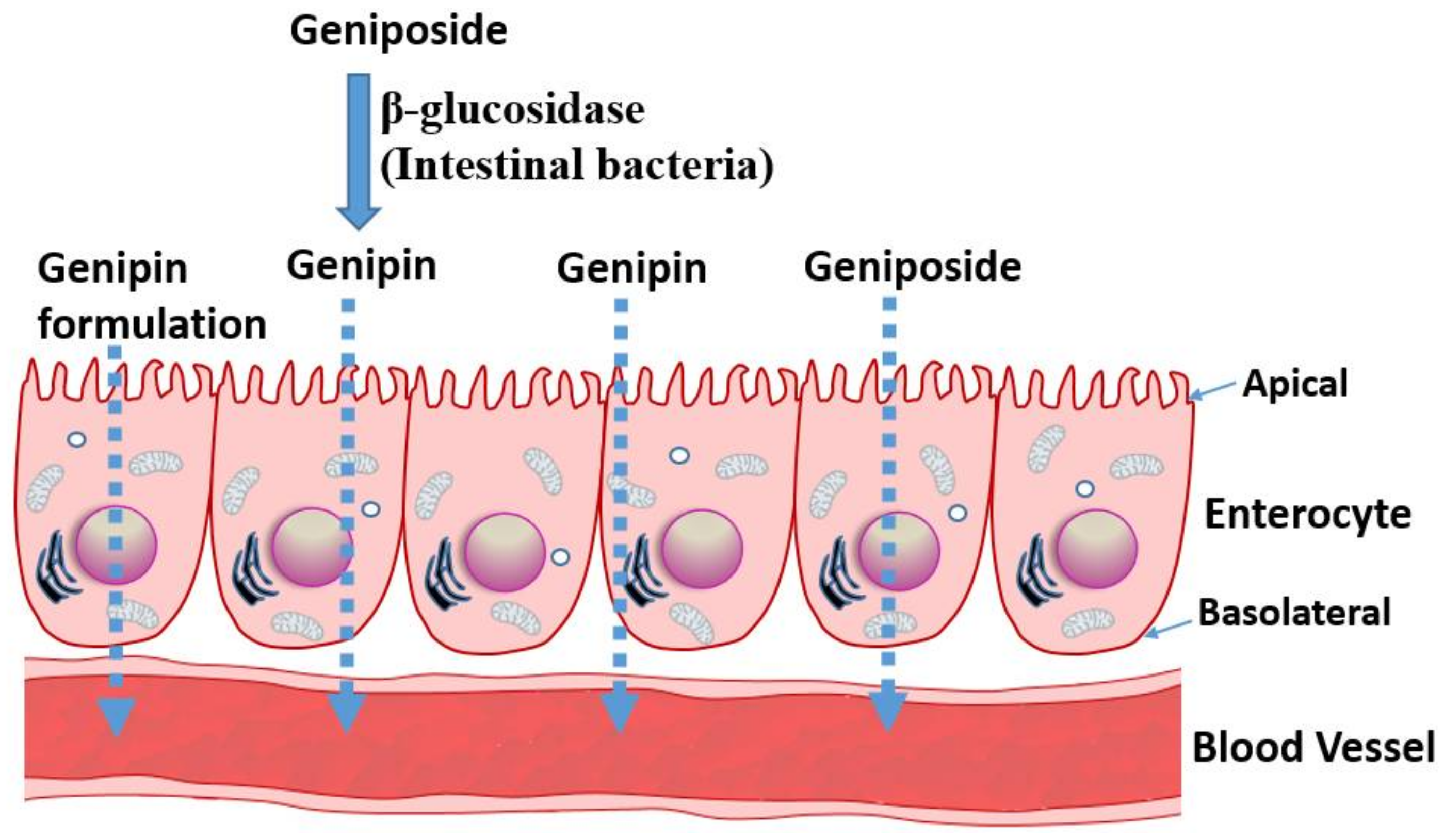 Biomedicines 06 00039 g002