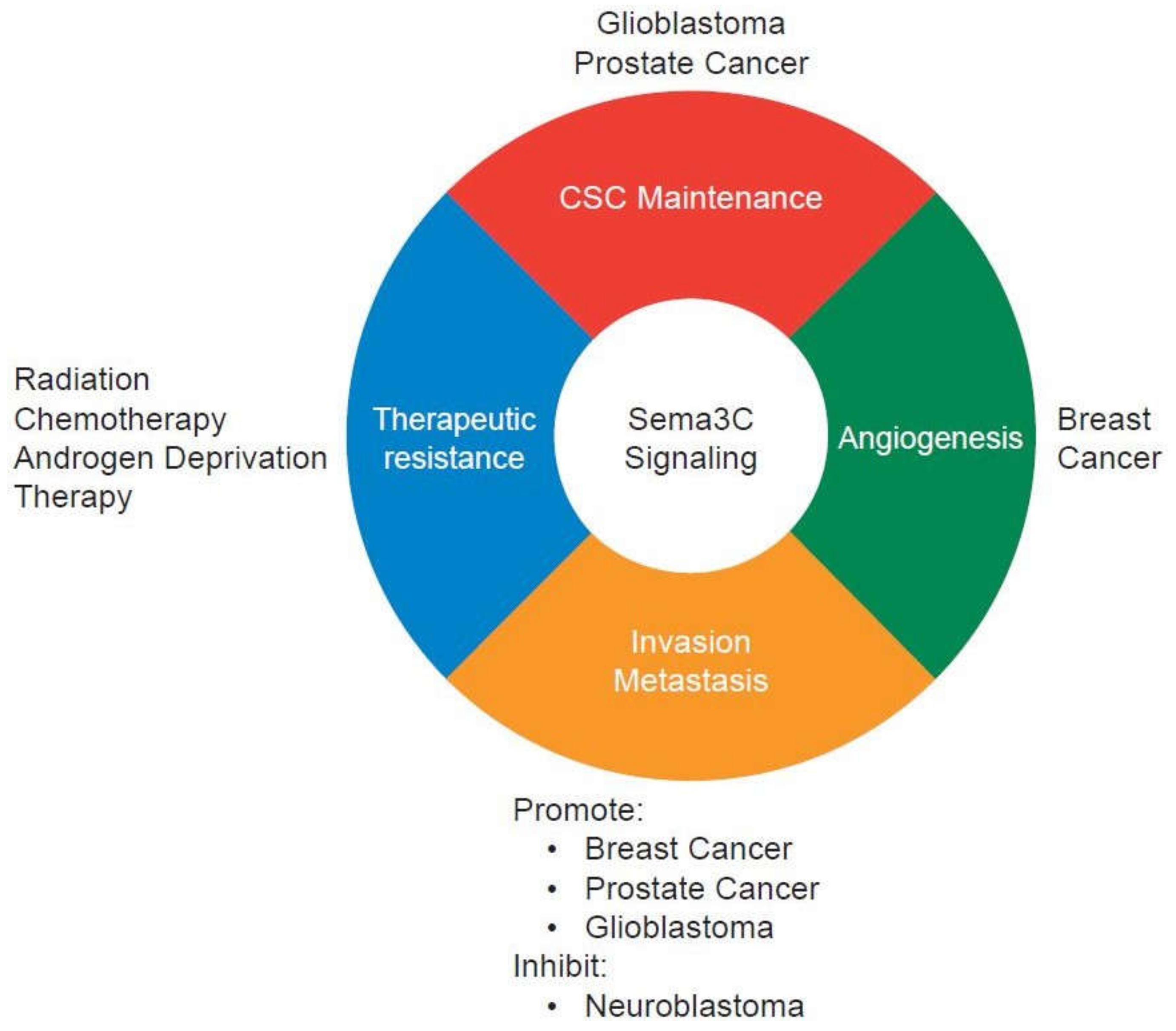 Biomedicines 06 00042 g002