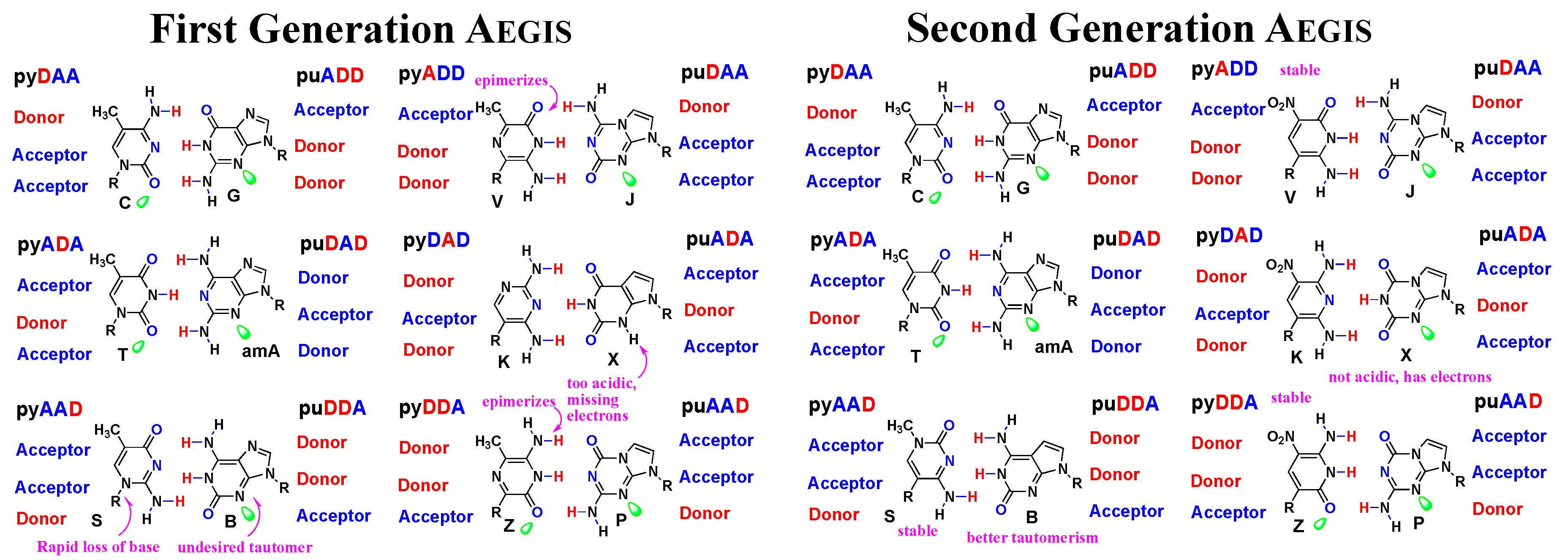 Biomedicines 06 00053 g001