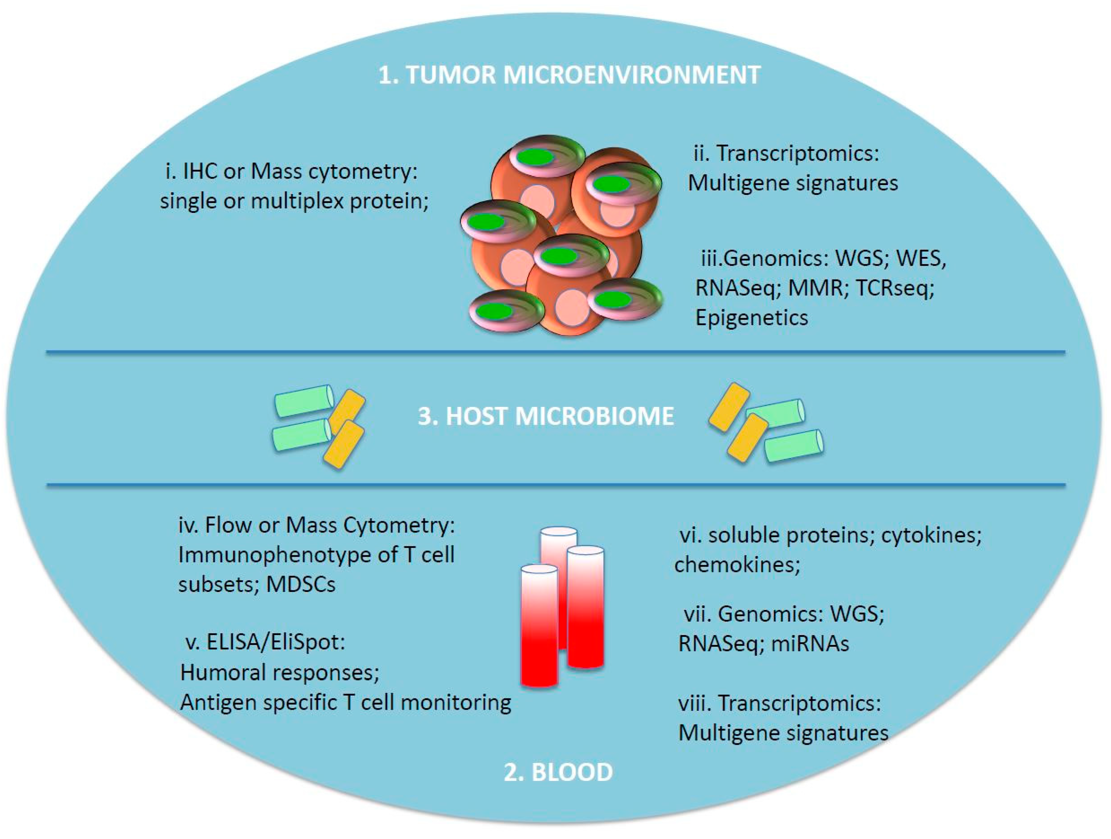 Biomedicines 06 00076 g001 Biomedicines 06 00076 g001