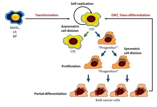 Biomedicines Free Full Text Breast Cancer Stem Cells