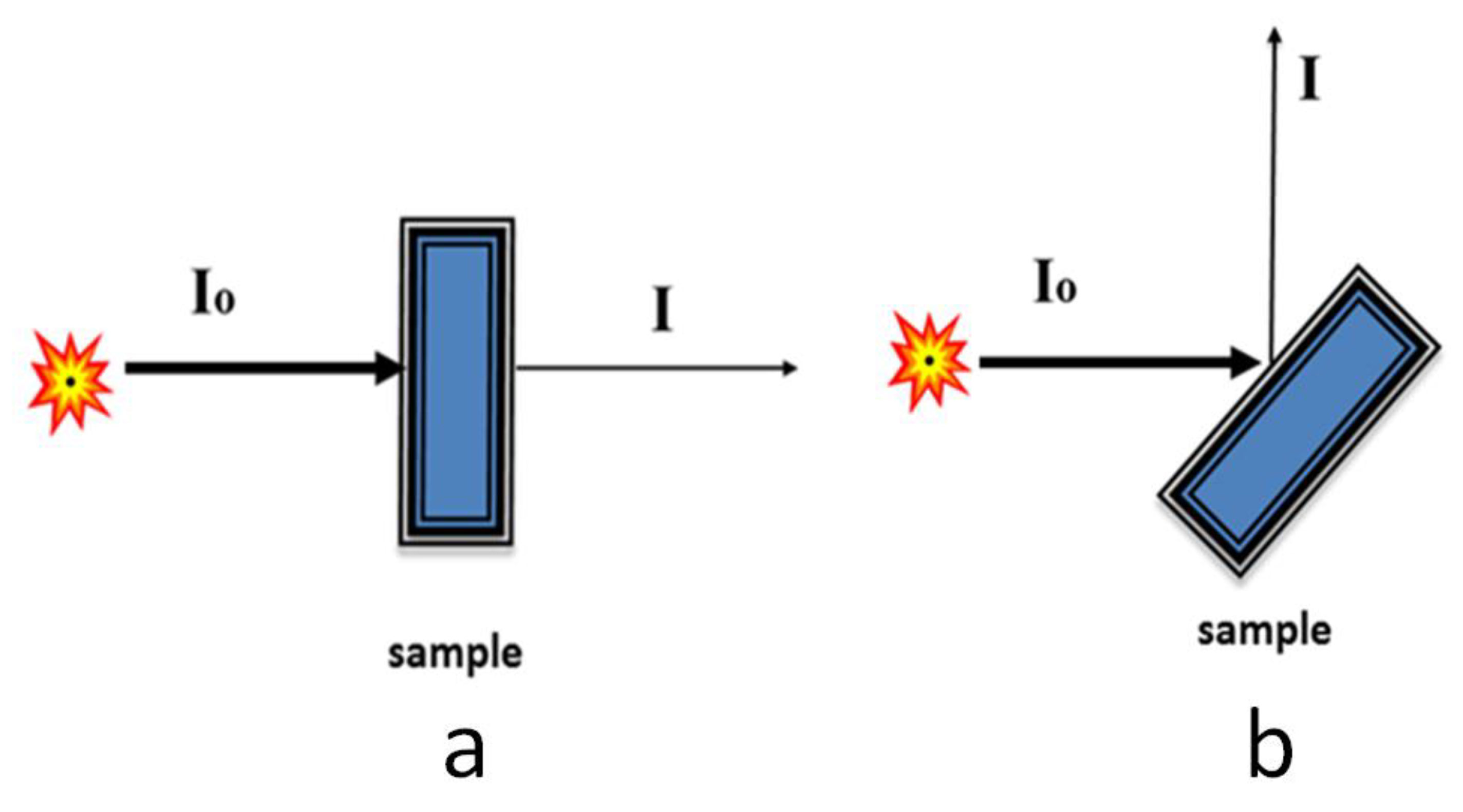 Biomedicines 06 00078 g002