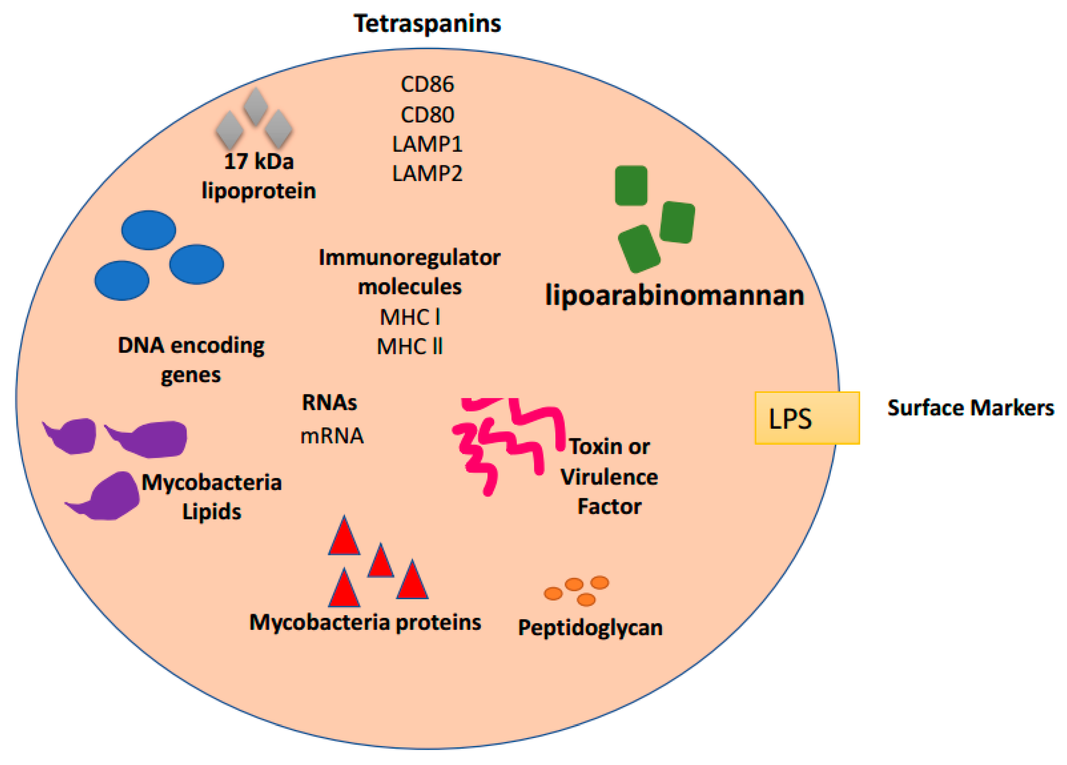Biomedicines 06 00079 g002 Biomedicines 06 00079 g002