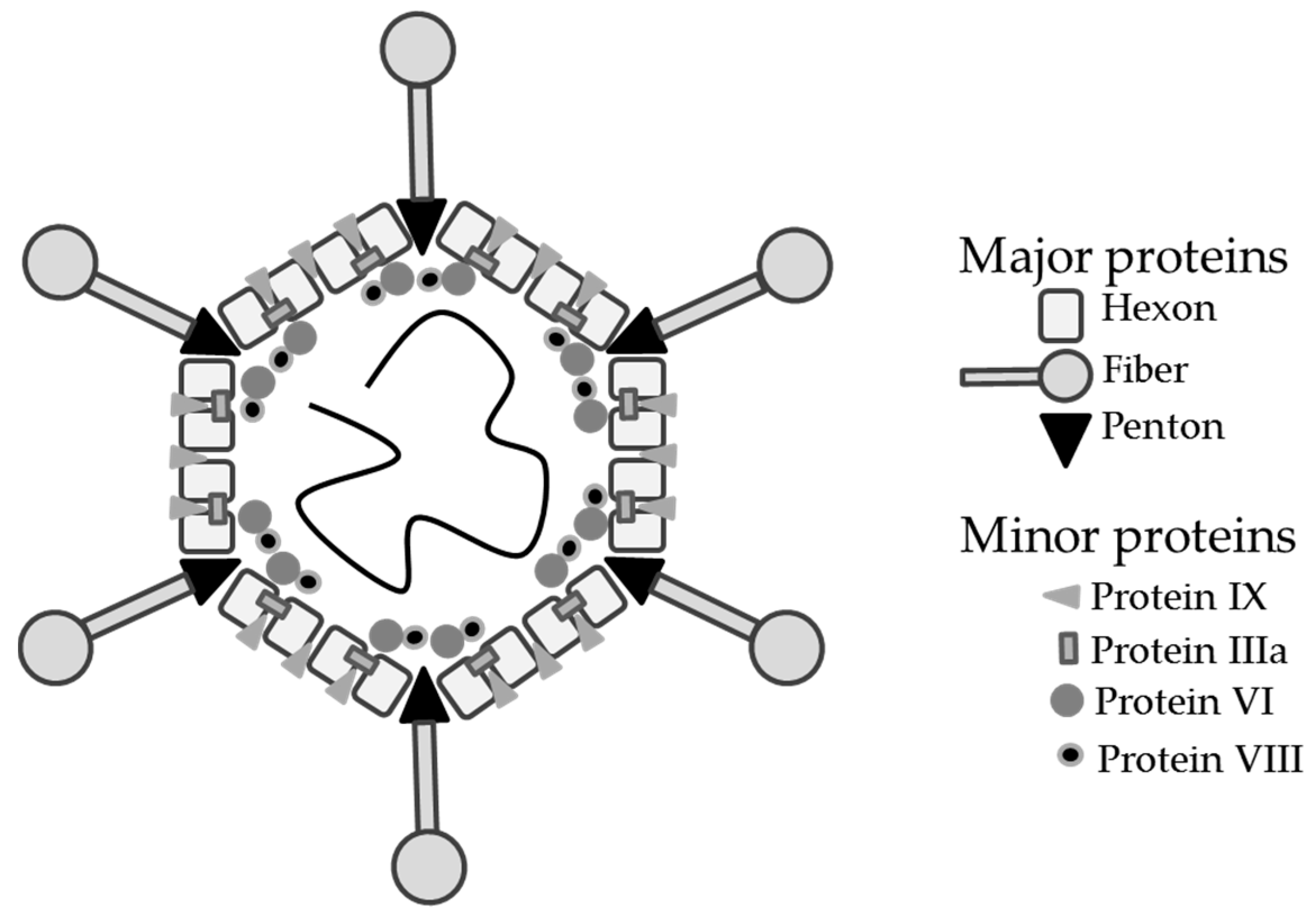 Biomedicines 06 00081 g001