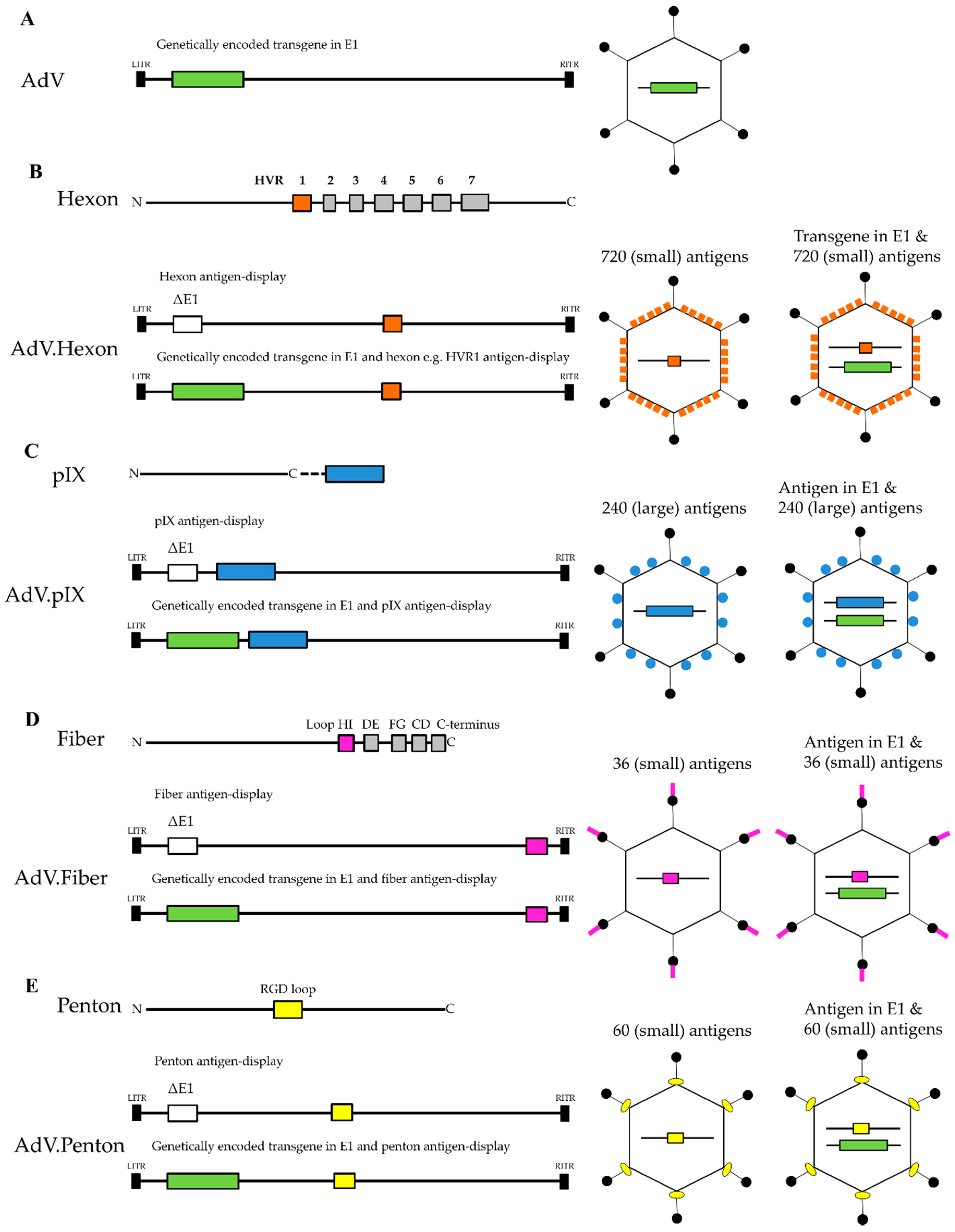 Biomedicines 06 00081 g002