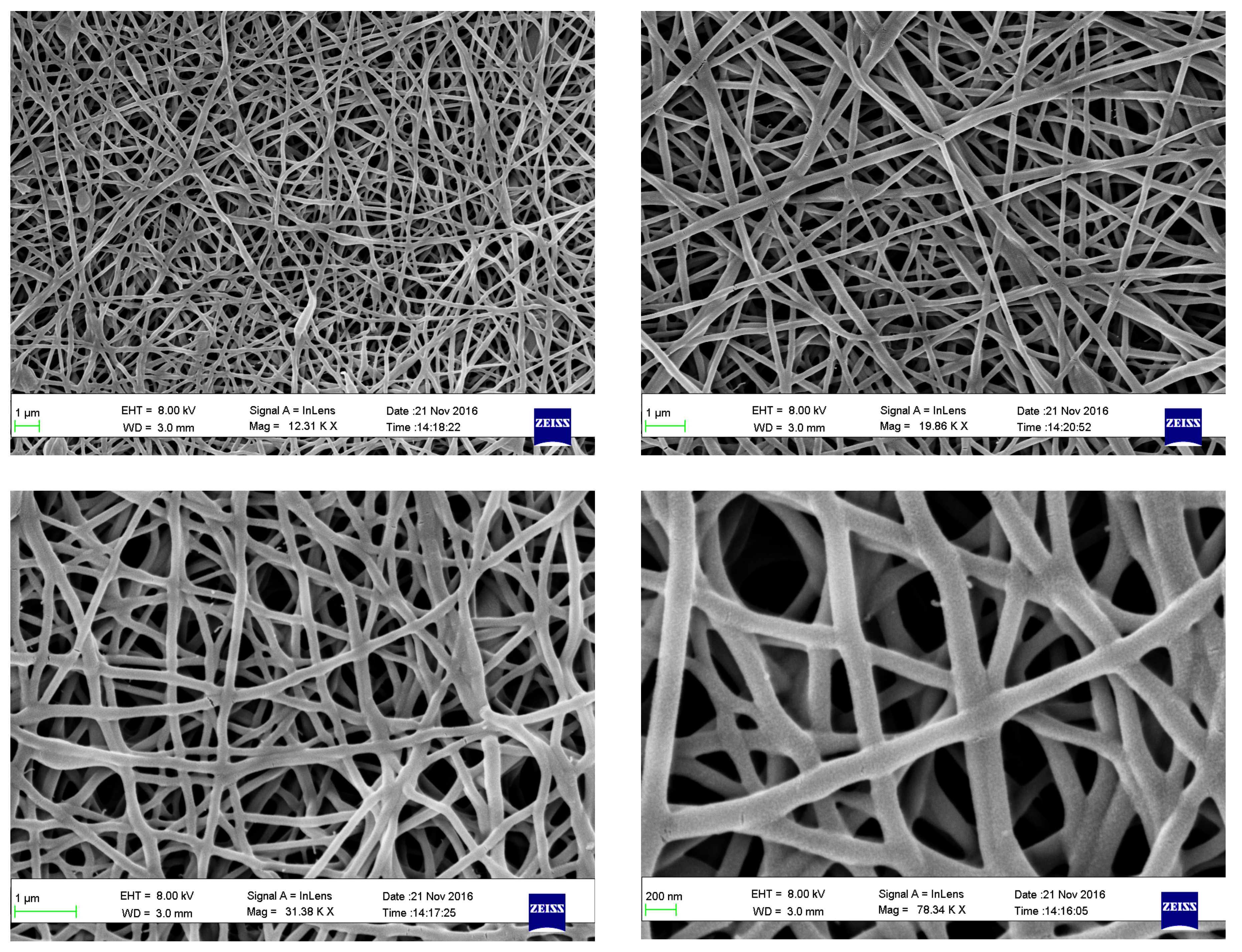 Biomedicines 06 00096 g006 Biomedicines 06 00096 g006