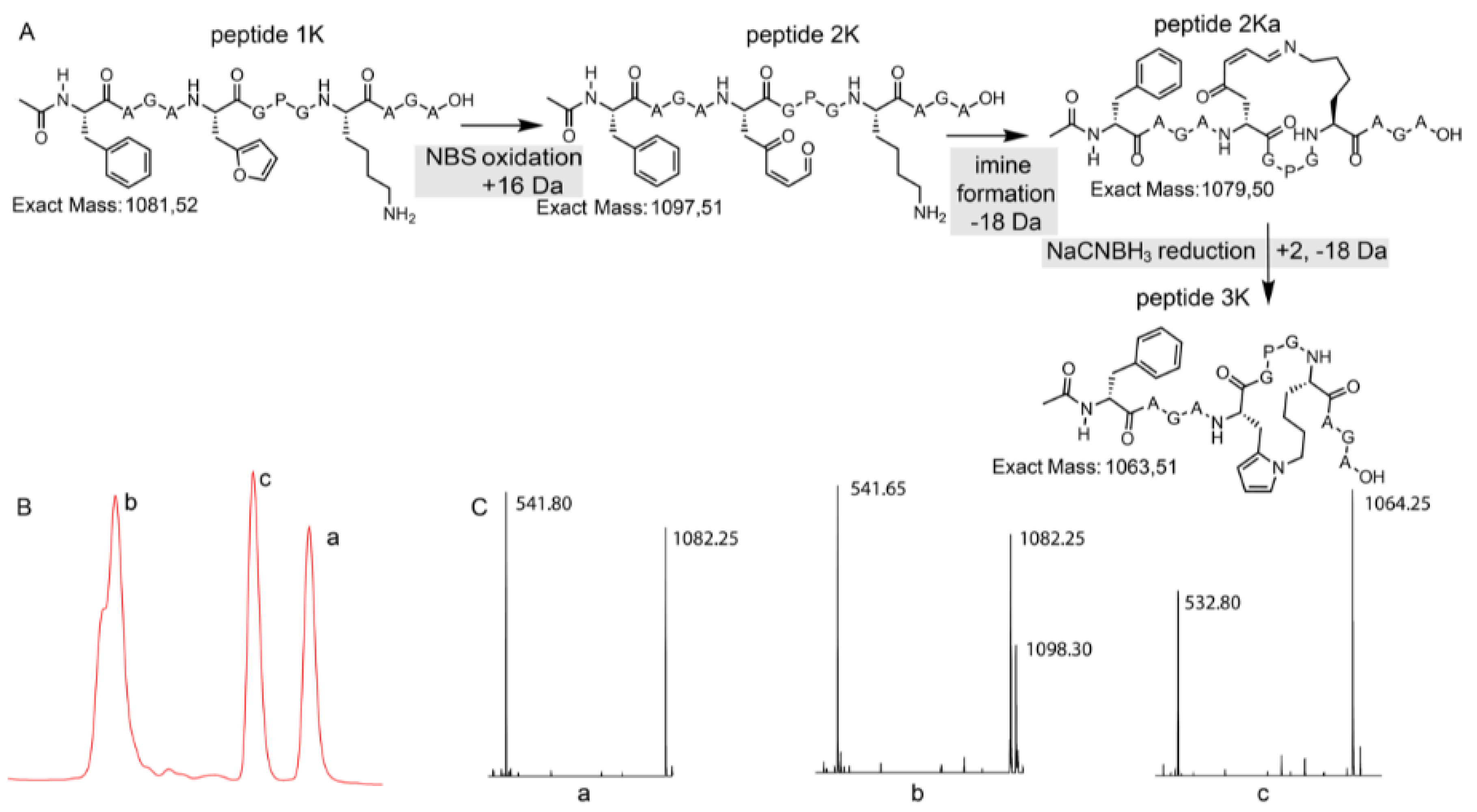 Biomedicines 06 00099 g004