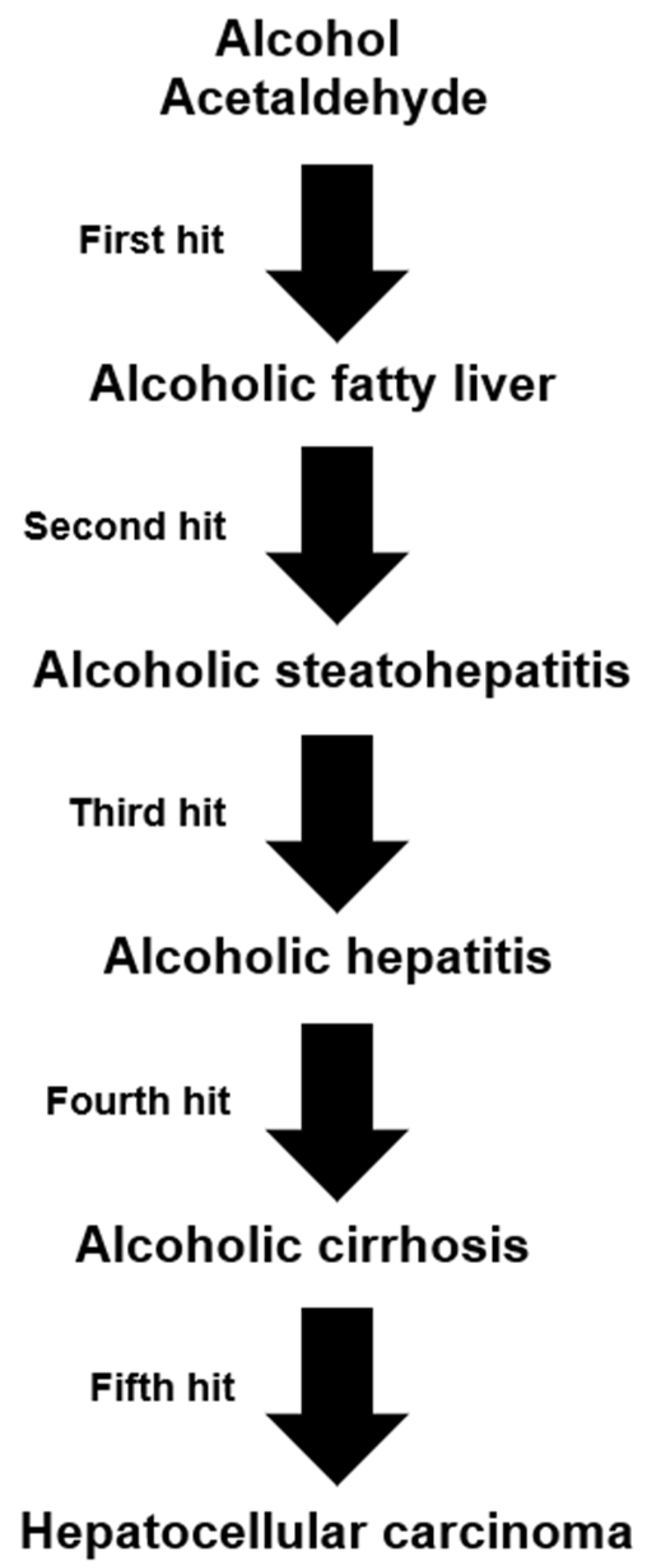 Biomedicines 06 00106 g008