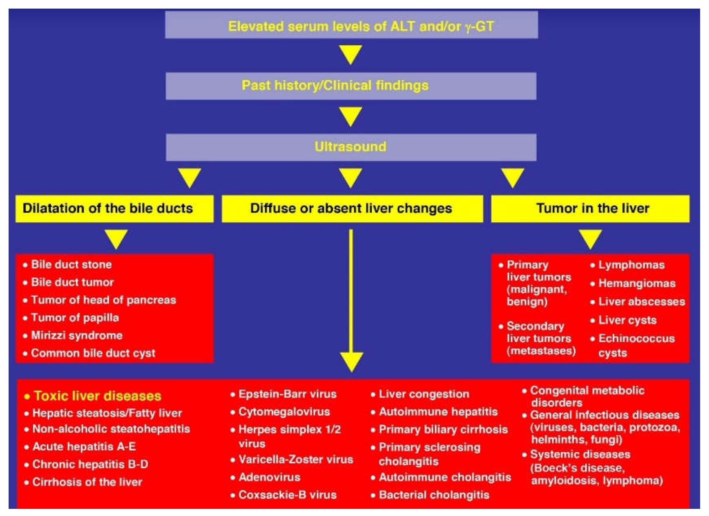 Biomedicines 06 00106 g011