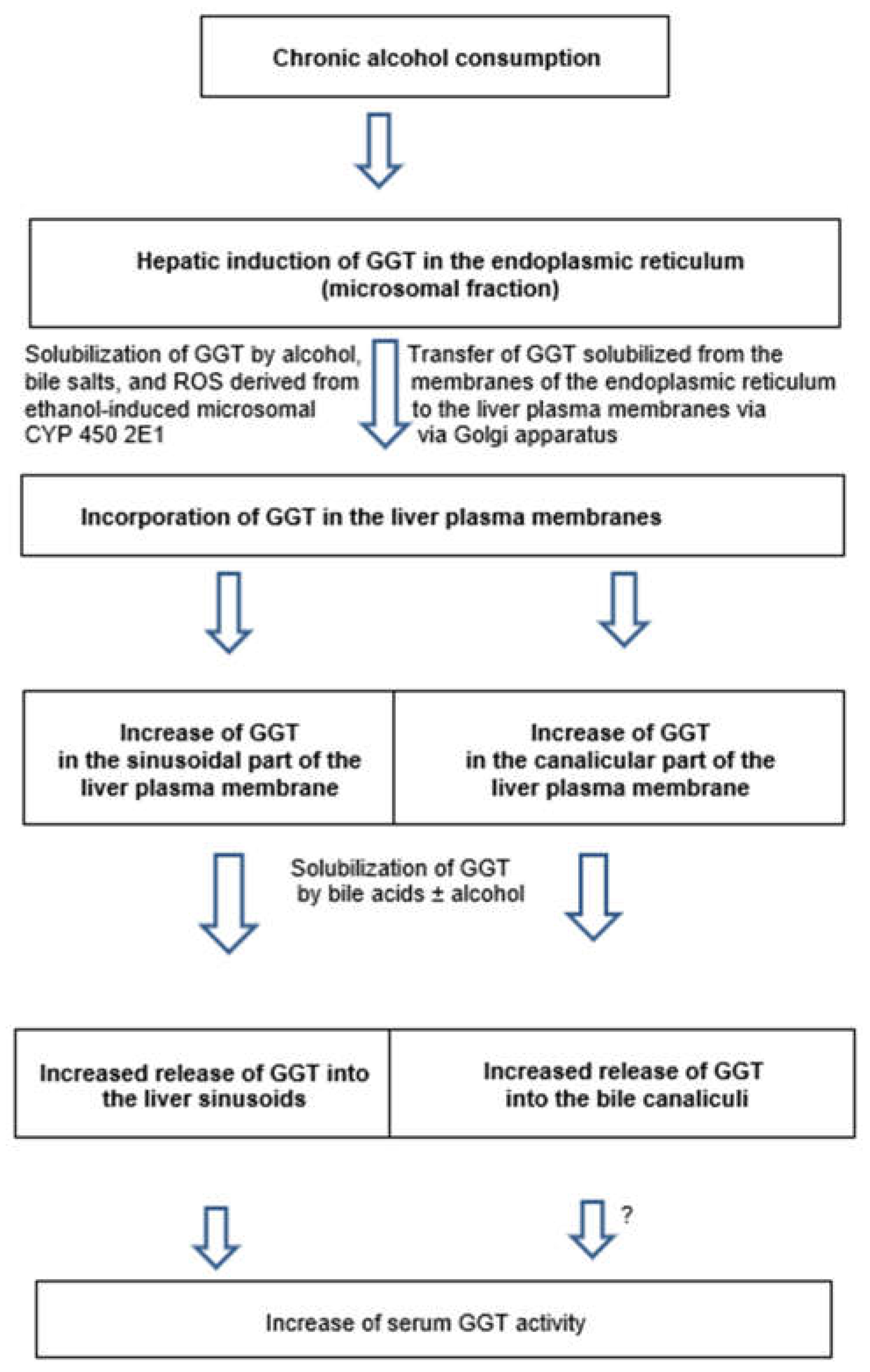 Biomedicines 06 00106 g012