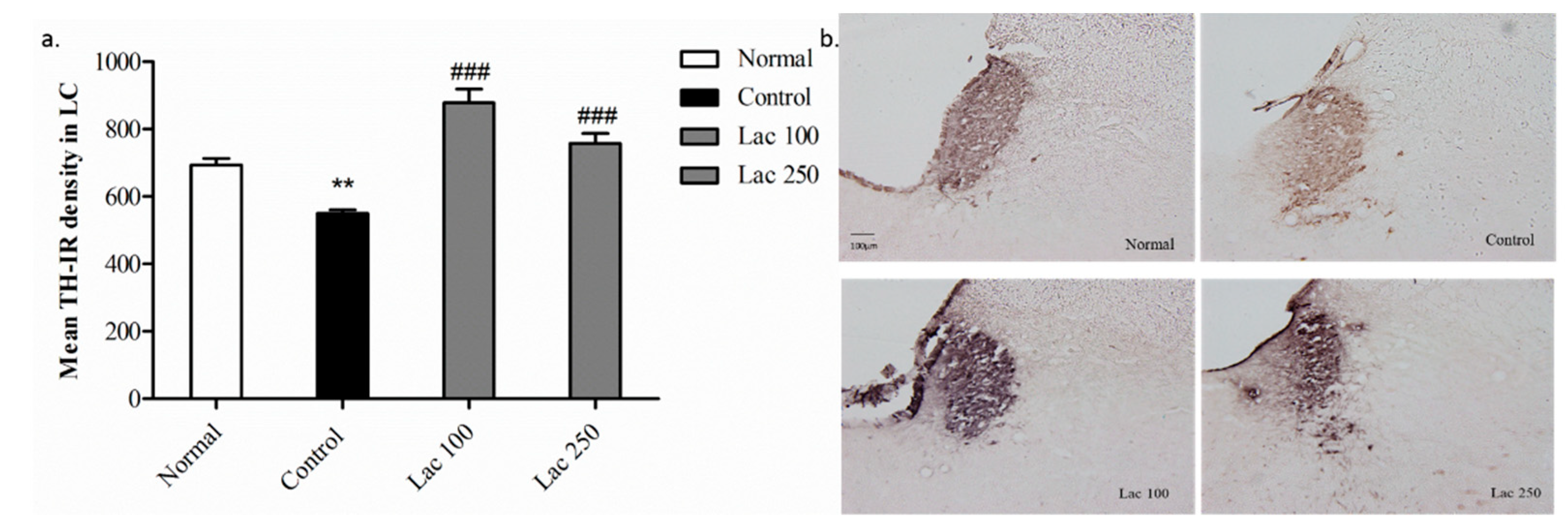 Biomedicines 06 00108 g006