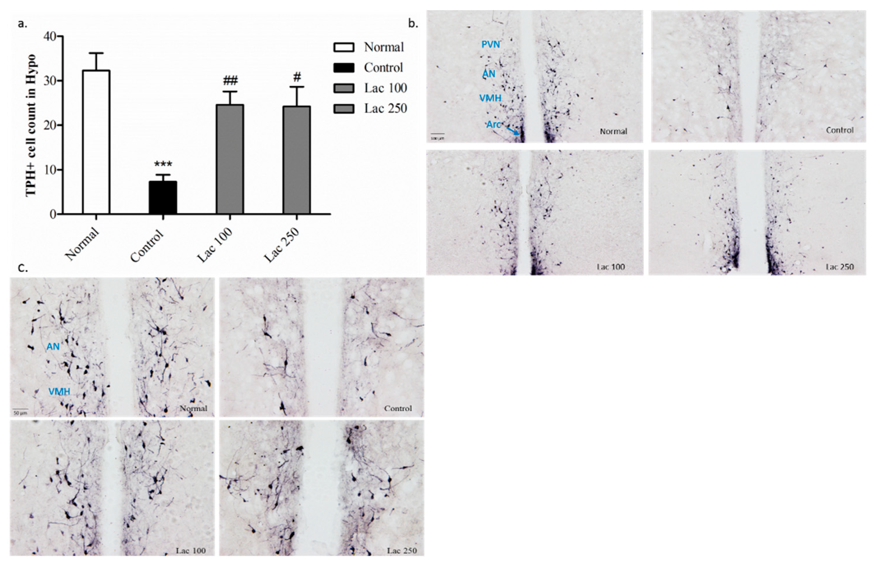 Biomedicines 06 00108 g007