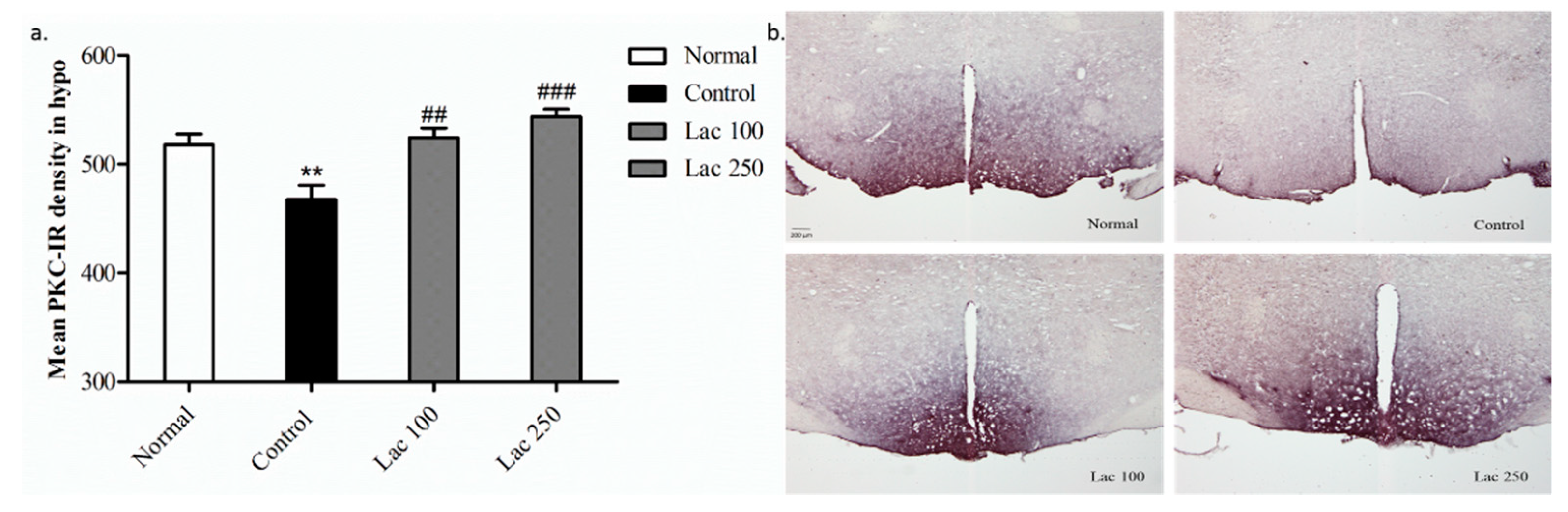 Biomedicines 06 00108 g009