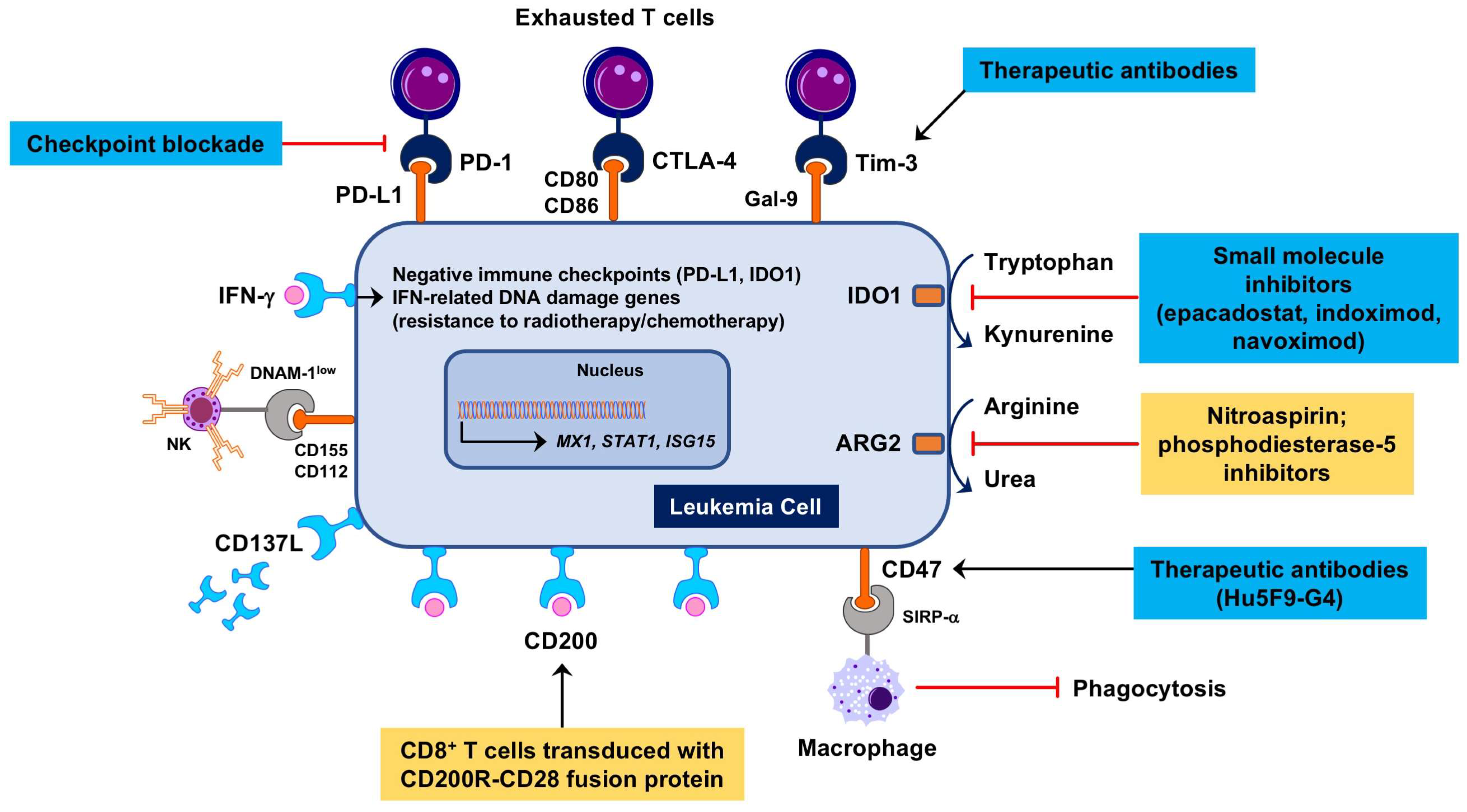 Biomedicines 06 00110 g001 Biomedicines 06 00110 g001