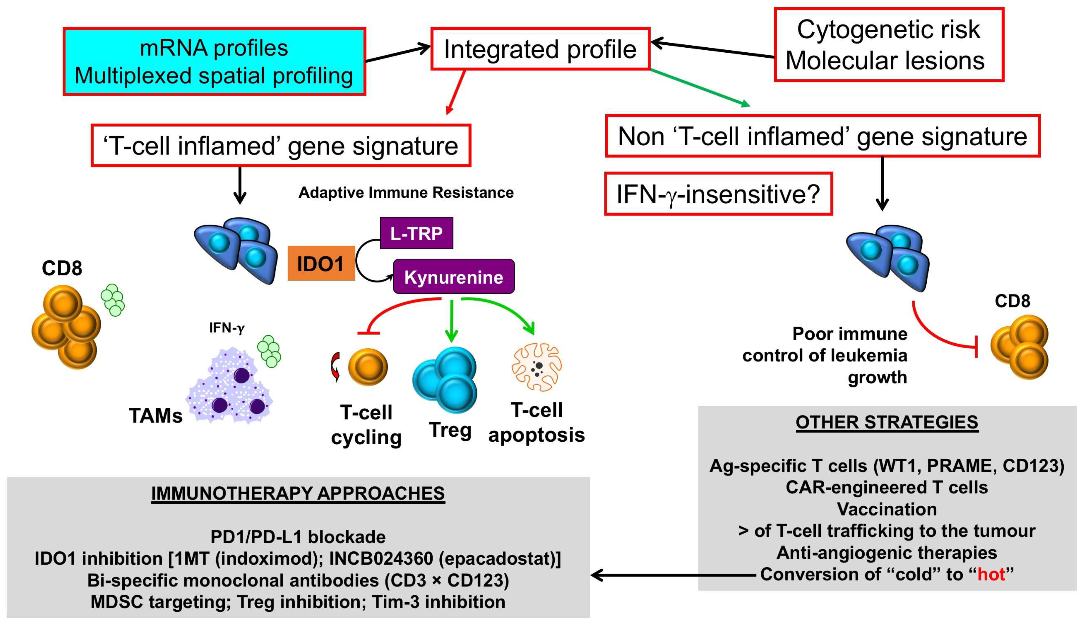 Biomedicines 06 00110 g003 Biomedicines 06 00110 g003