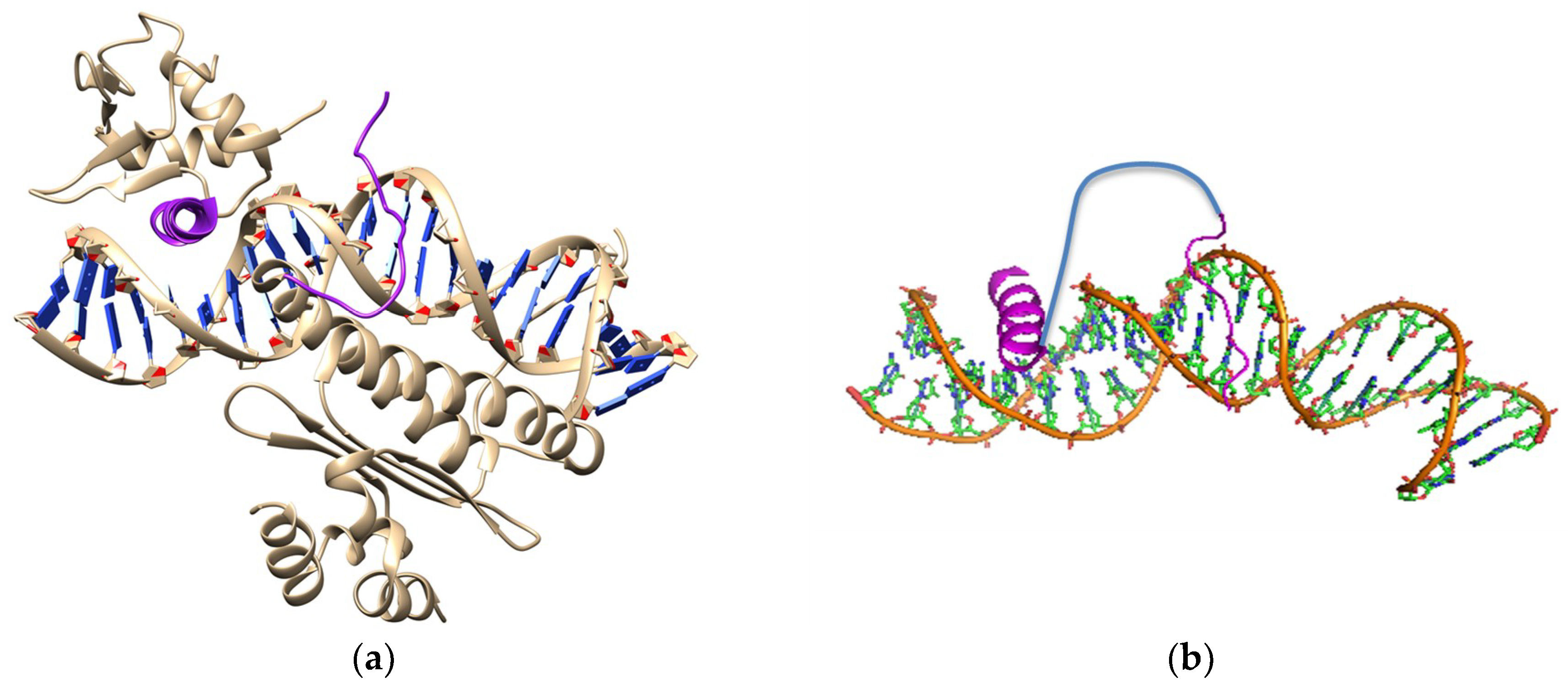 Biomedicines 06 00118 g003 Biomedicines 06 00118 g003