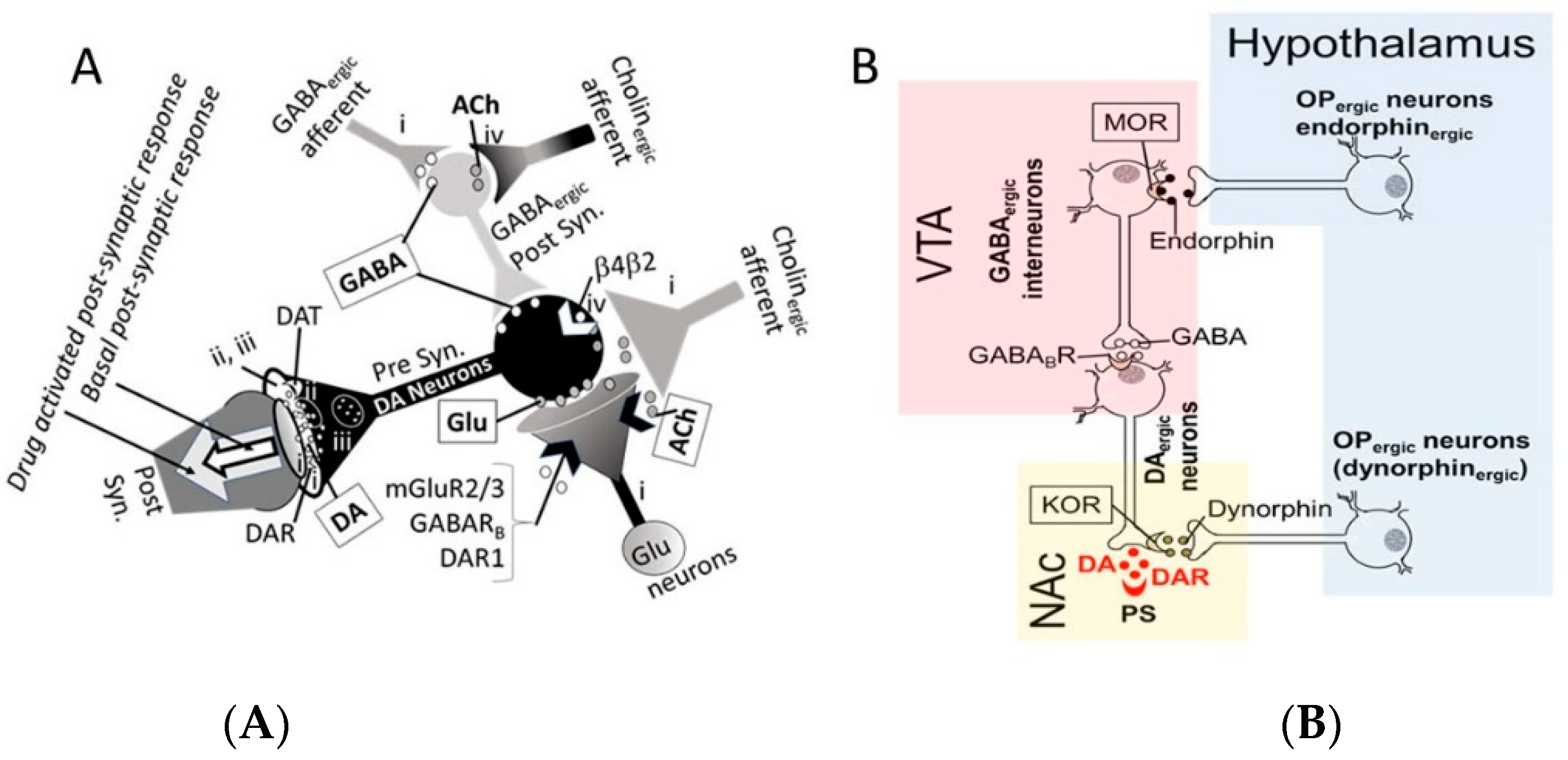 Biomedicines 07 00016 g005