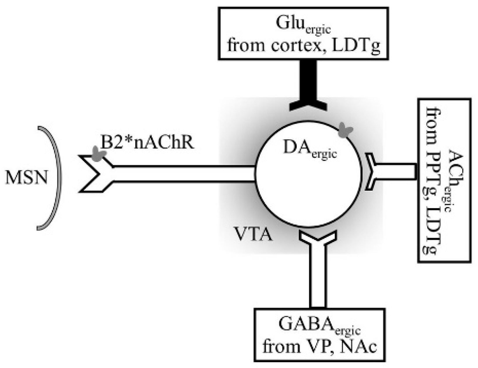 Biomedicines 07 00016 g010