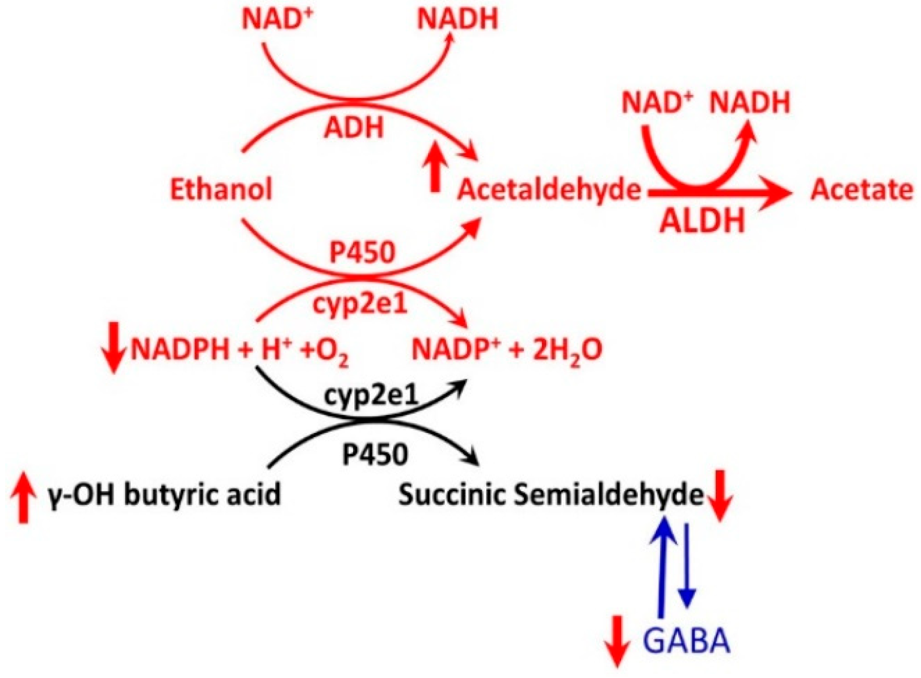 Biomedicines 07 00016 g019
