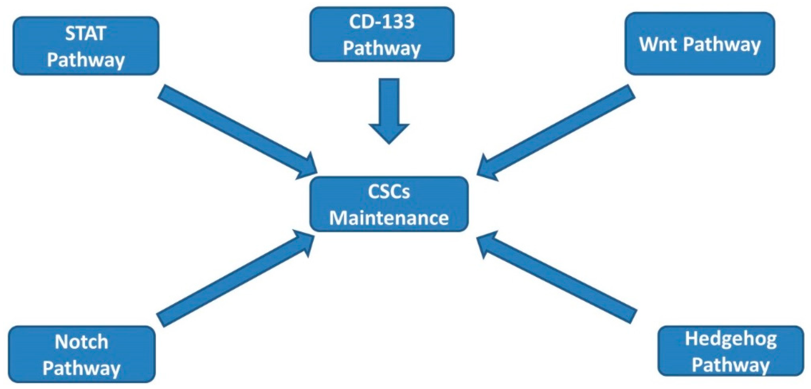 Biomedicines 07 00017 g001