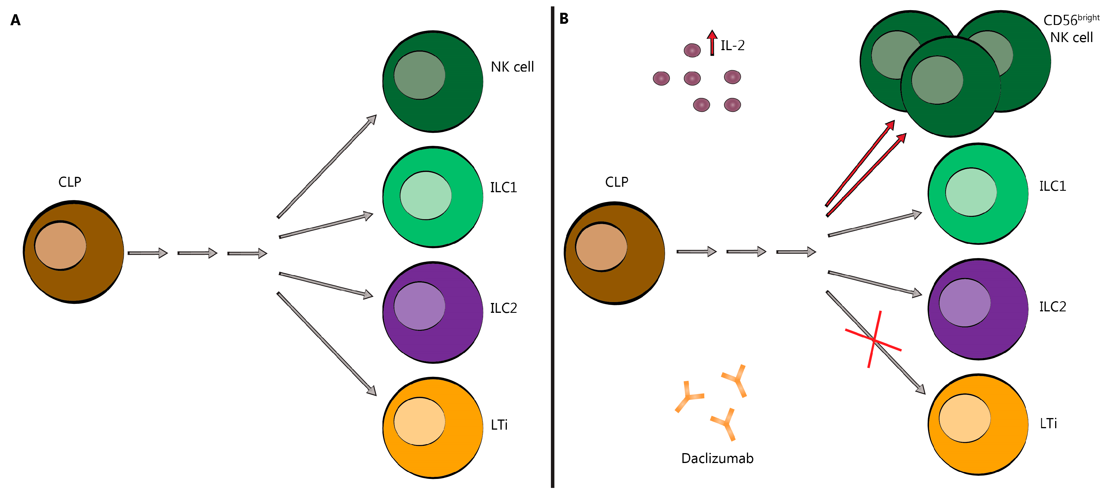 Biomedicines 07 00018 g003
