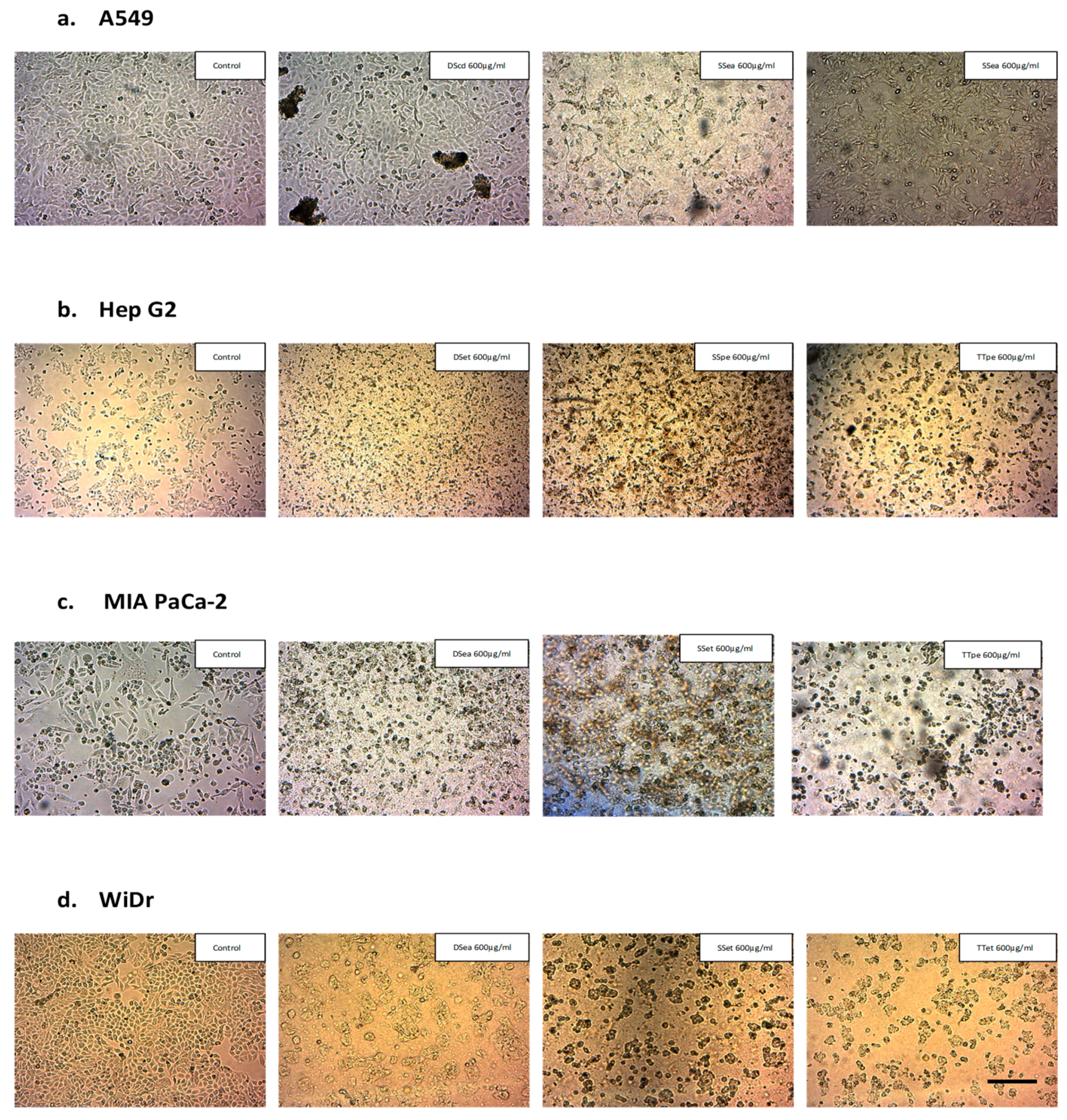 Biomedicines 07 00025 g002 Biomedicines 07 00025 g002