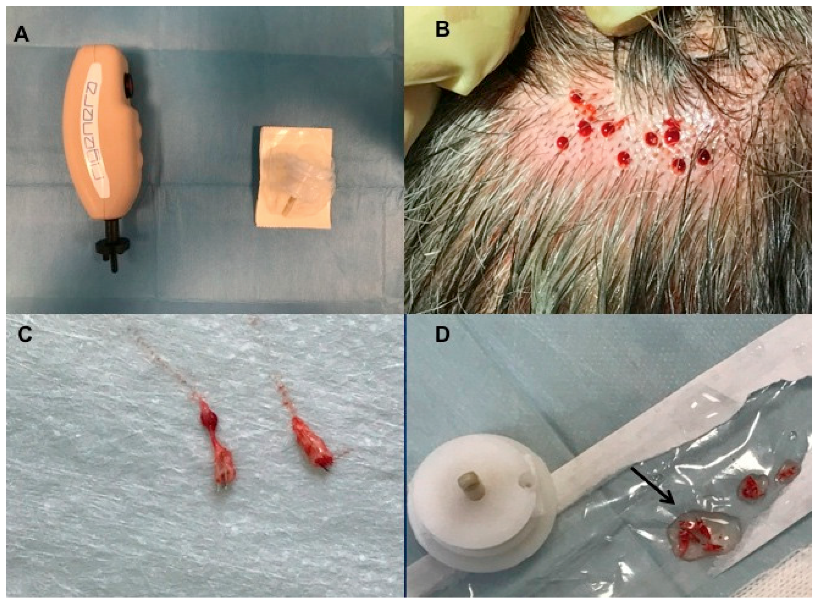 Biomedicines 07 00027 g002