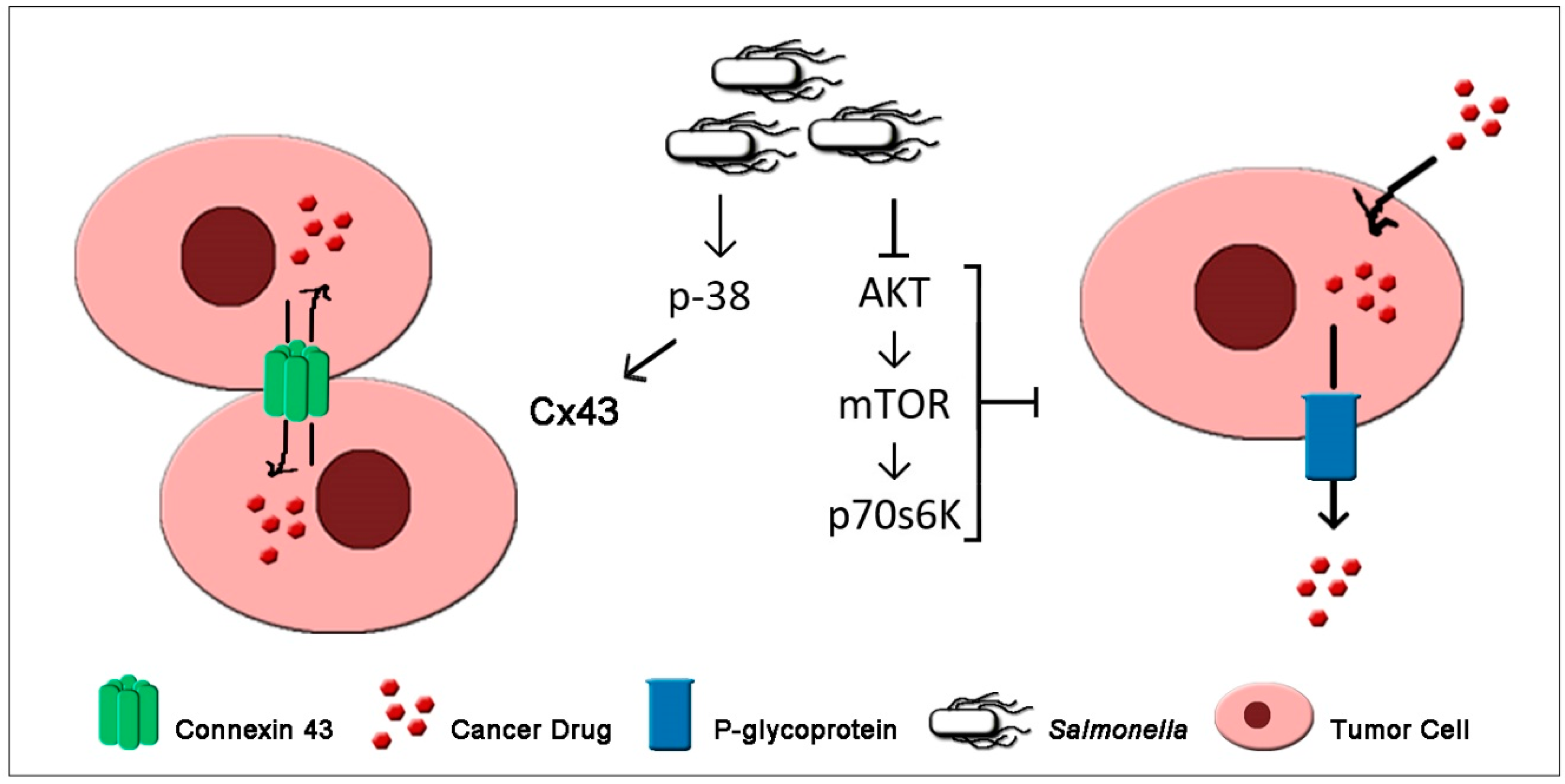Biomedicines 07 00036 g002 Biomedicines 07 00036 g002