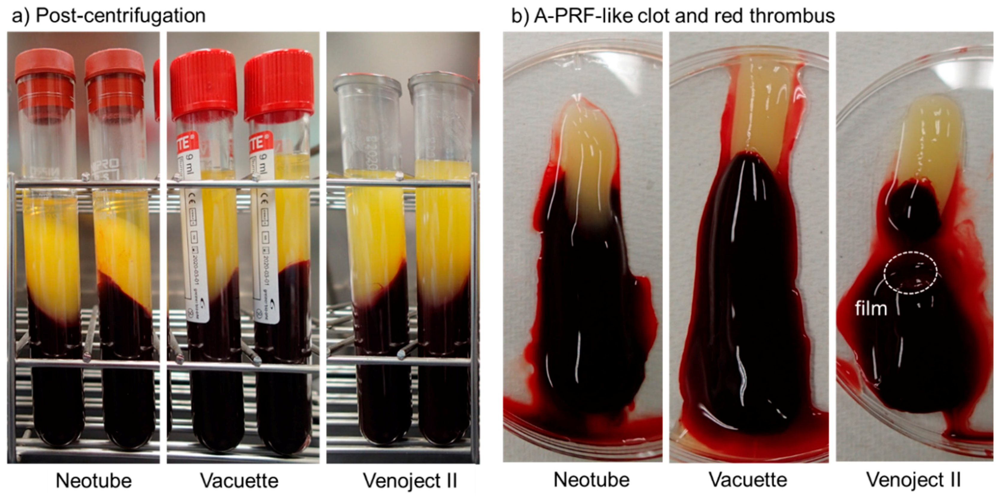 Biomedicines 07 00045 g003 Biomedicines 07 00045 g003