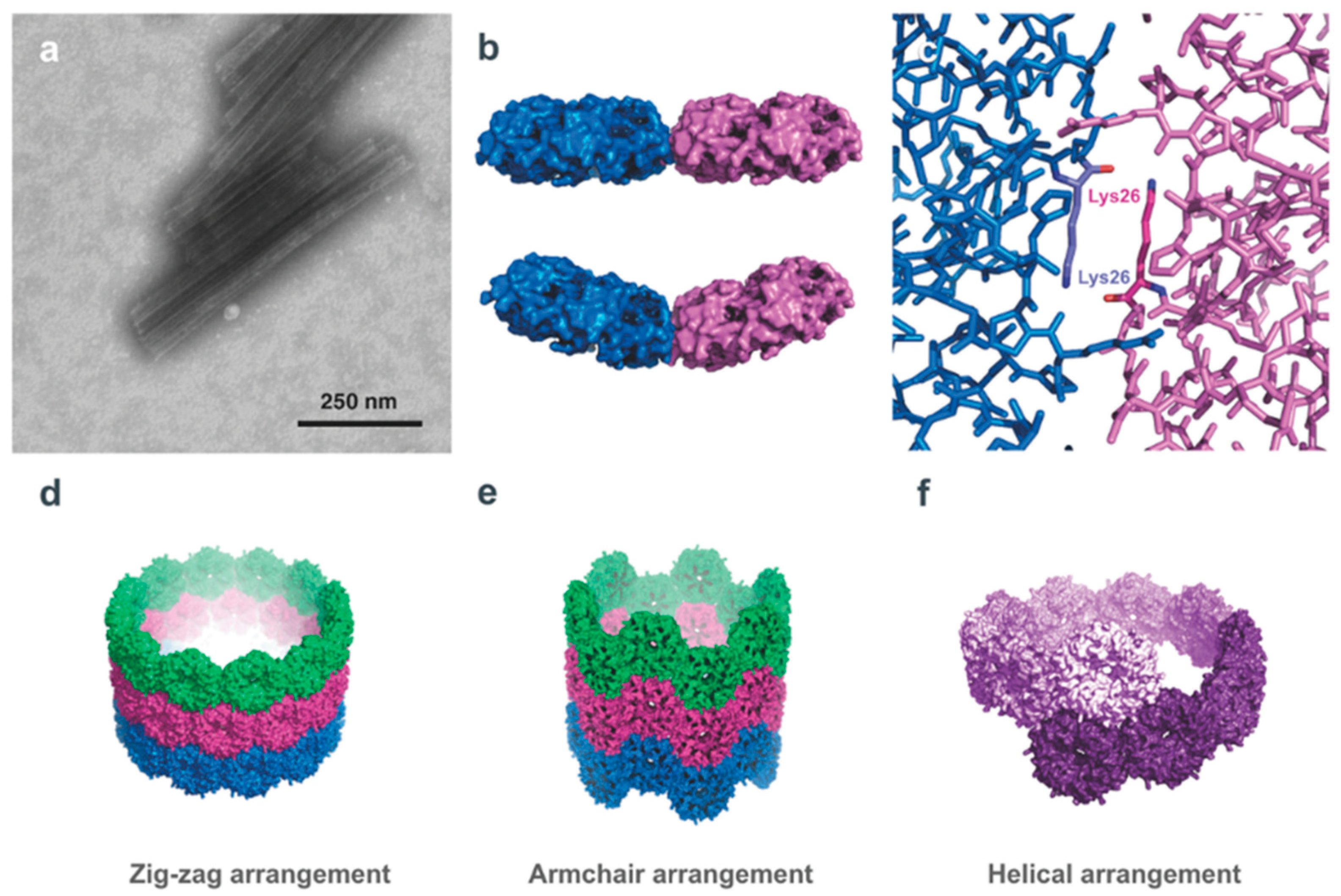 Biomedicines 07 00046 g006 Biomedicines 07 00046 g006