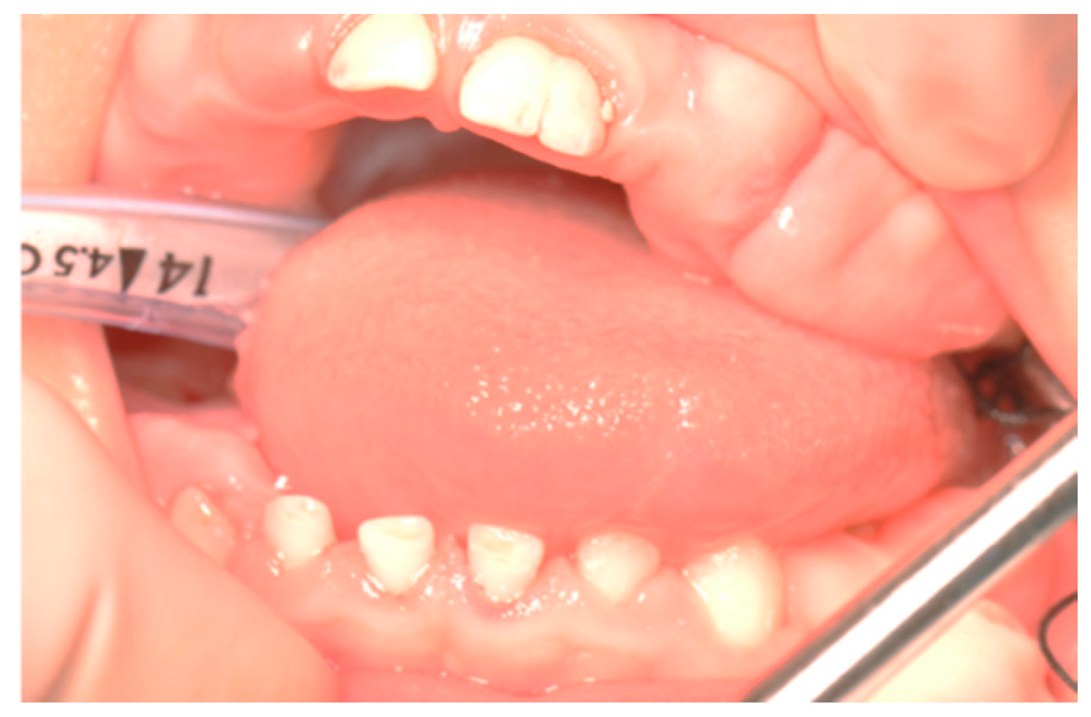 Biomedicines 07 00048 g003