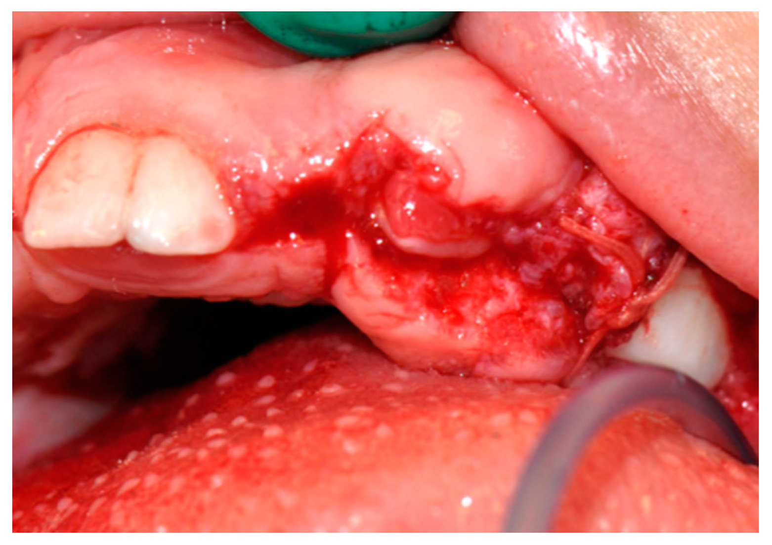Biomedicines 07 00048 g004