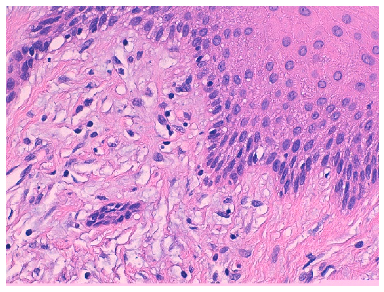 Biomedicines 07 00048 g007