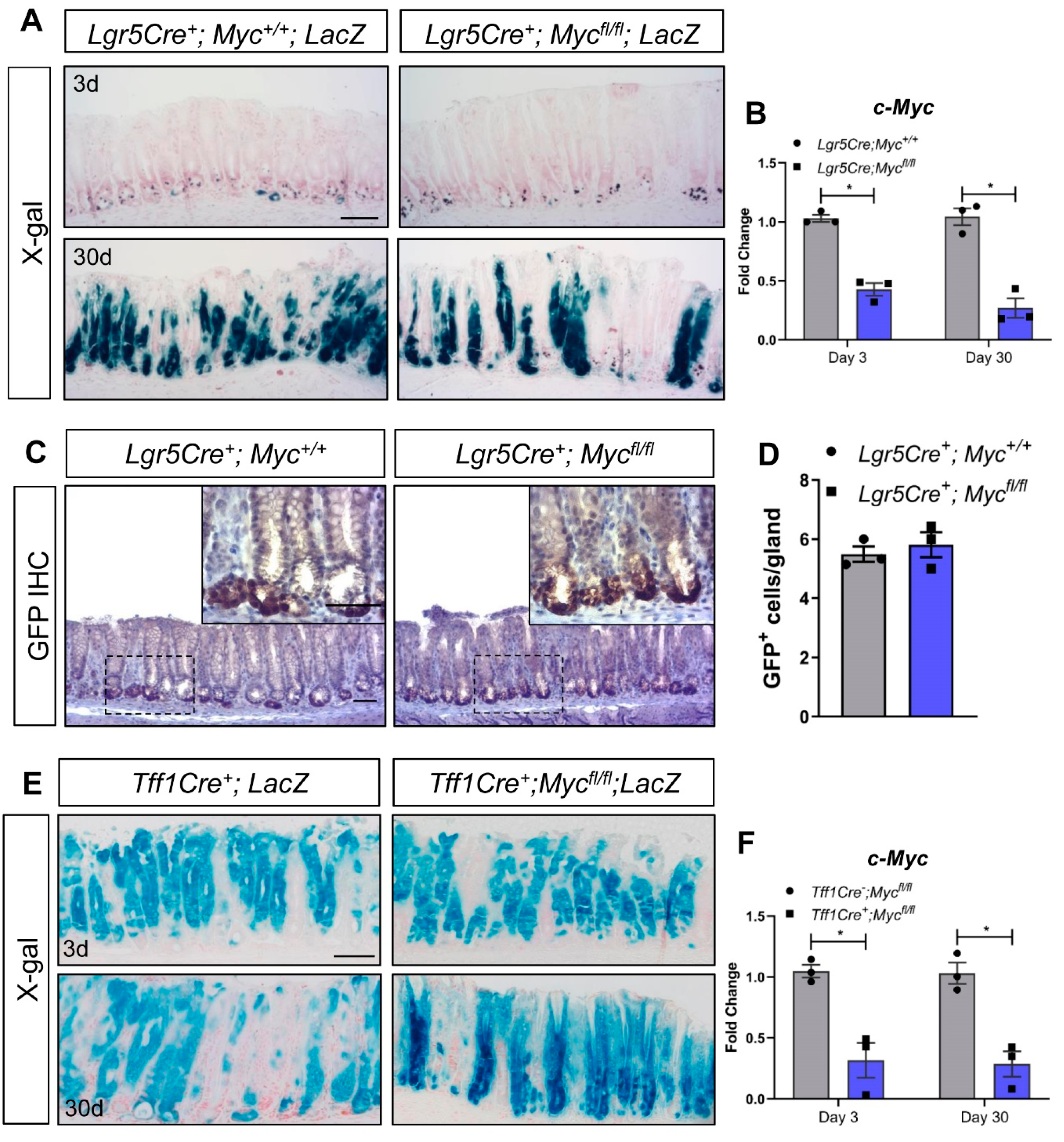 Biomedicines 07 00050 g002a