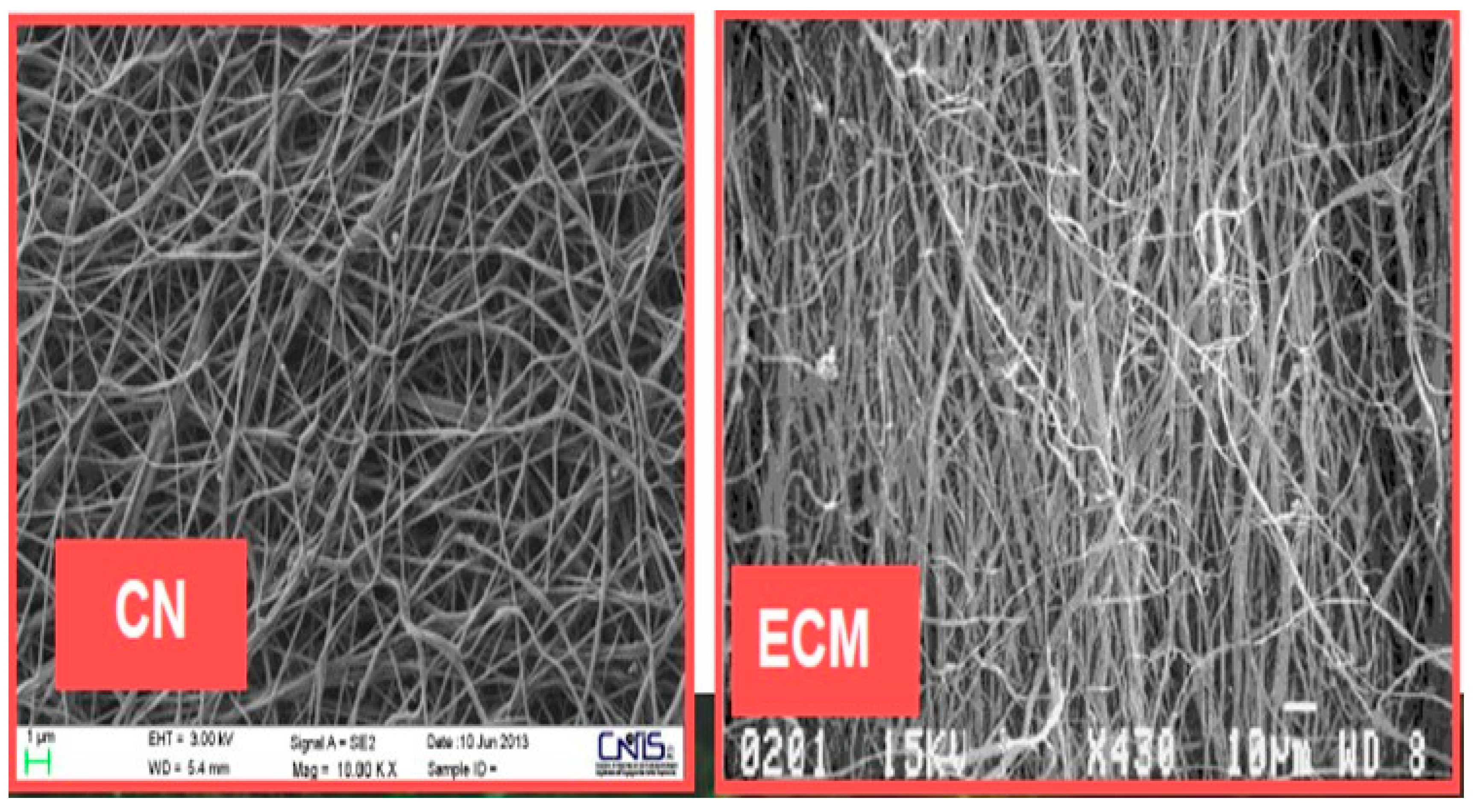 Biomedicines Free Full Text Biofunctional Textiles For - 