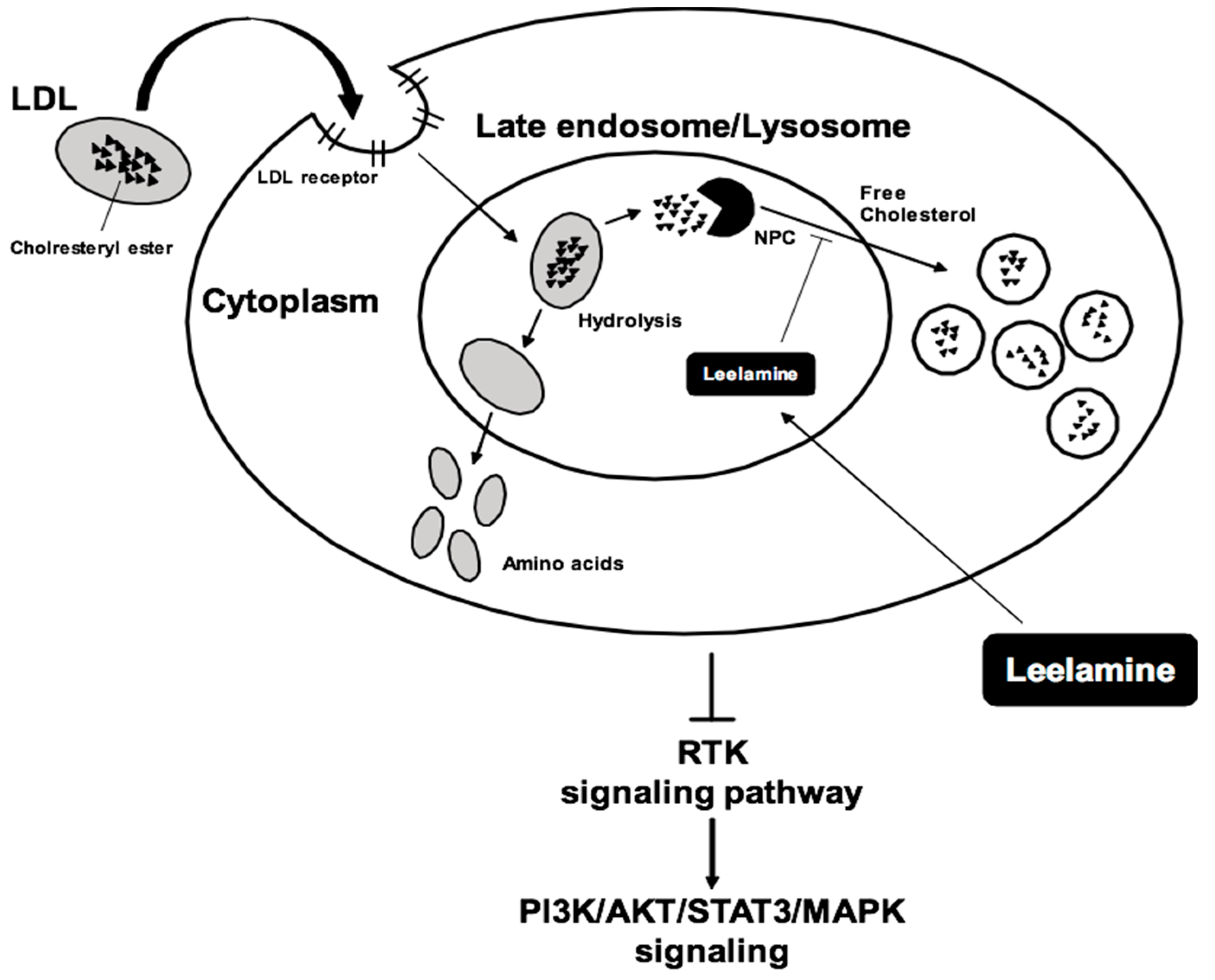 Biomedicines 07 00053 g002 Biomedicines 07 00053 g002