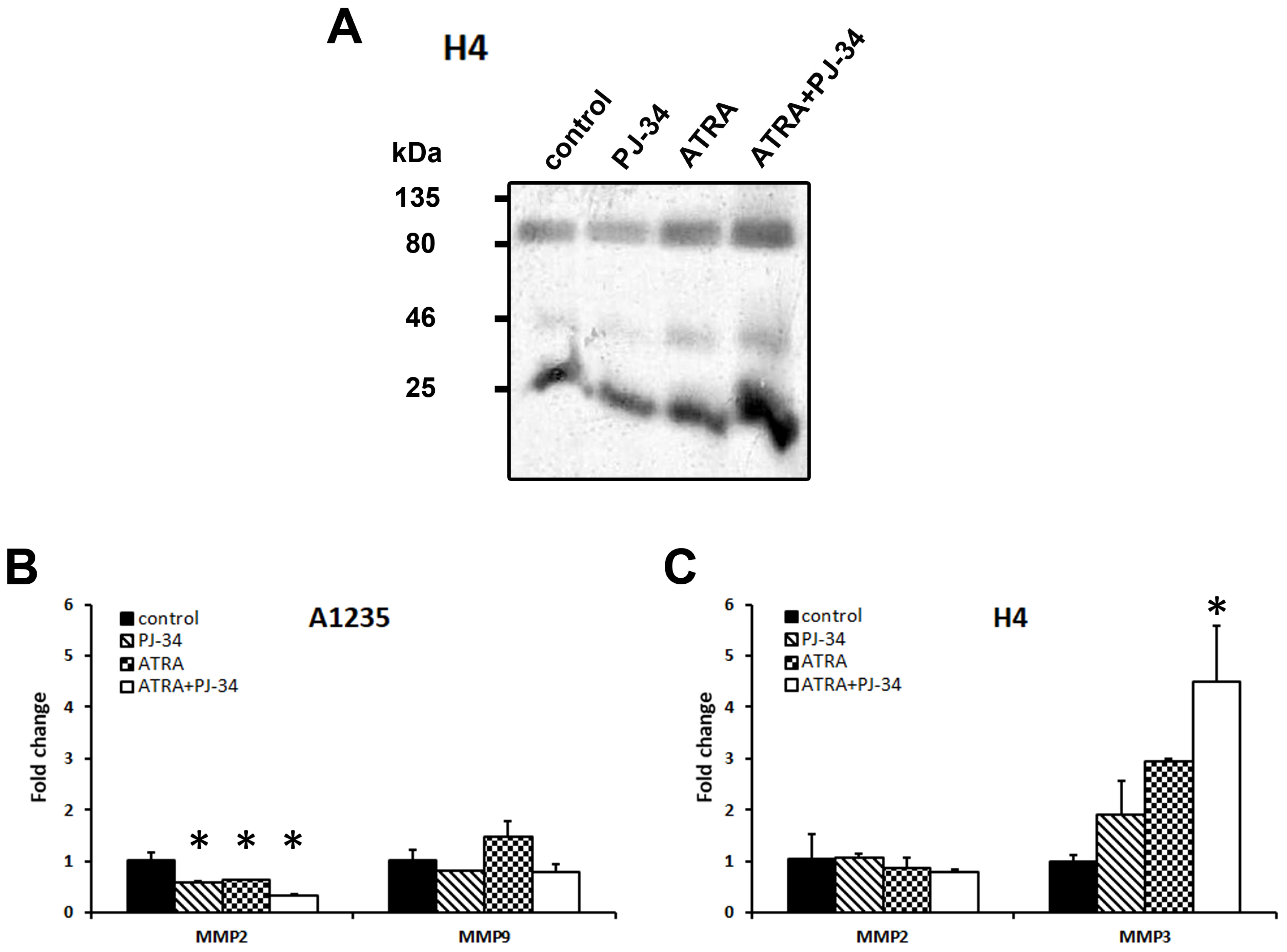 Biomedicines 07 00070 g007