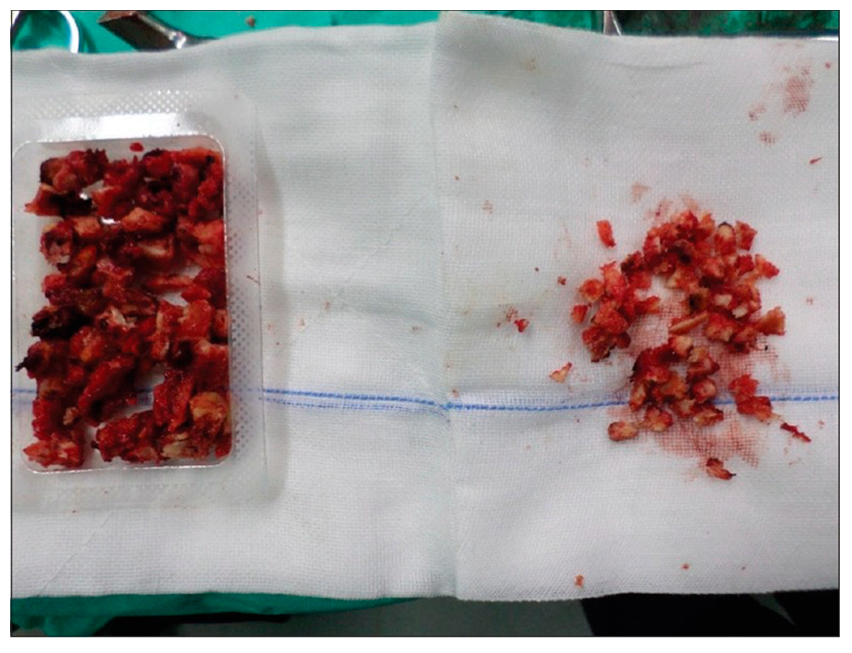 Biomedicines 07 00075 g001 Biomedicines 07 00075 g001