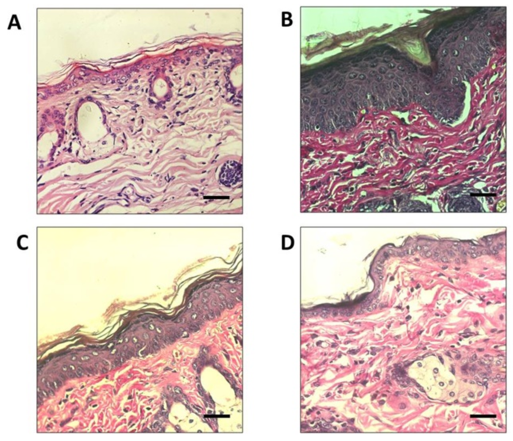 Biomedicines 07 00077 g007
