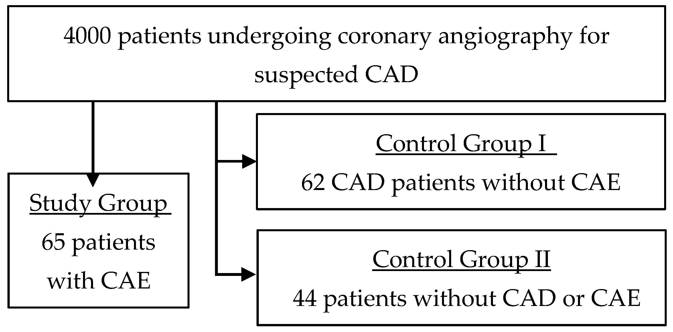 Coronary Artery Flow Chart