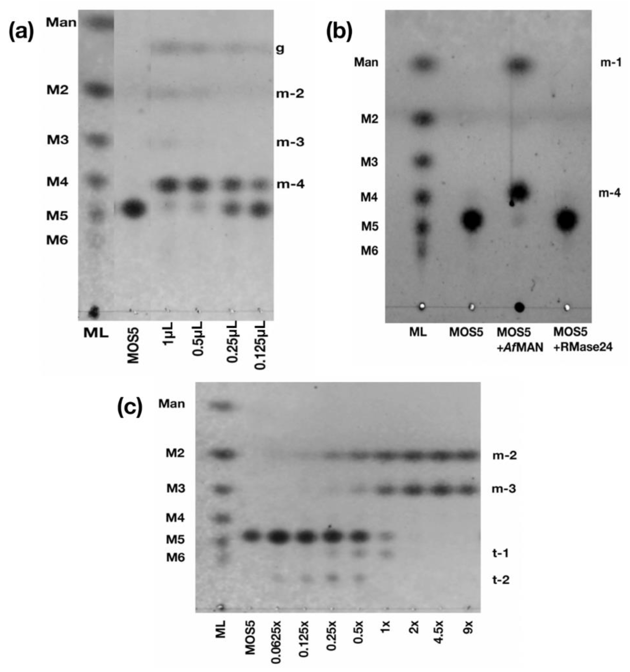Biomedicines 07 00081 g002