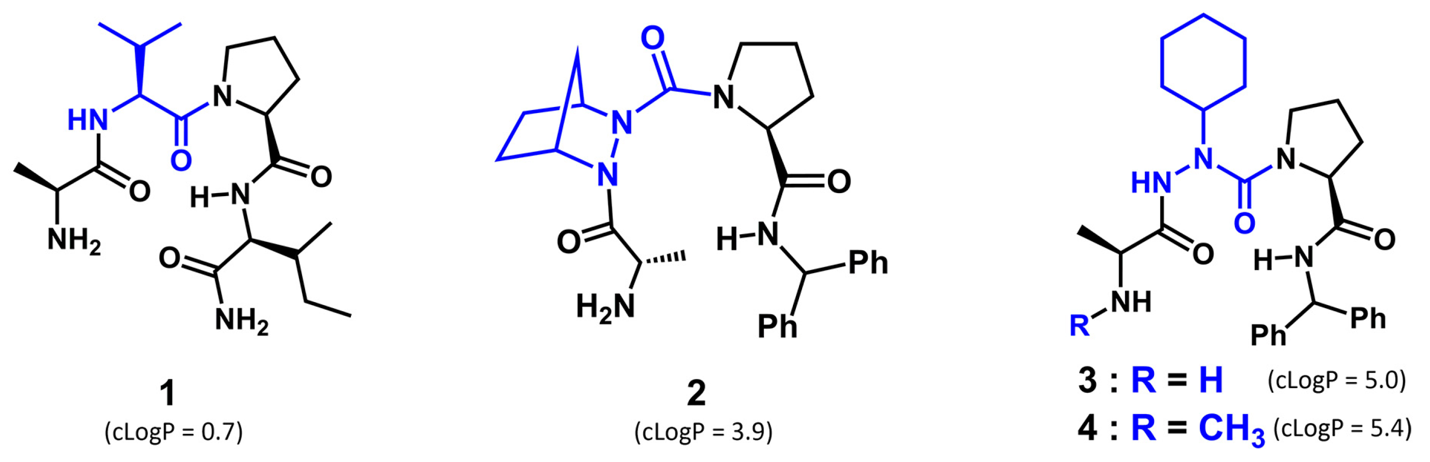 Biomedicines 07 00082 g001