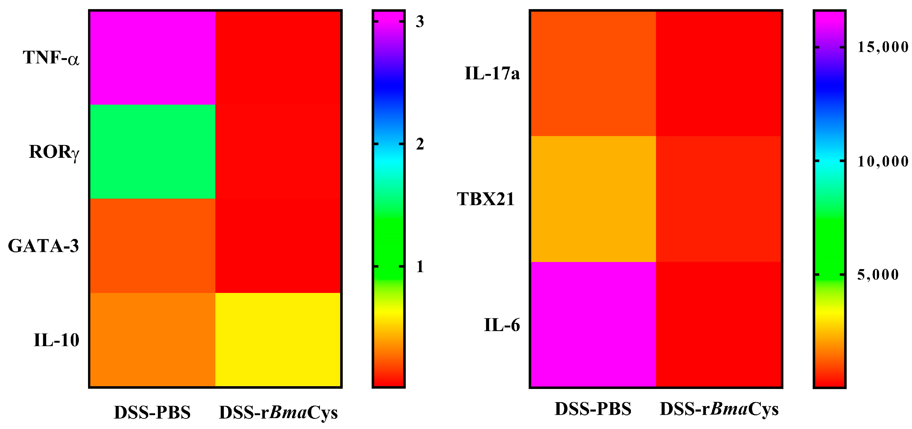 Biomedicines 07 00085 g002 Biomedicines 07 00085 g002