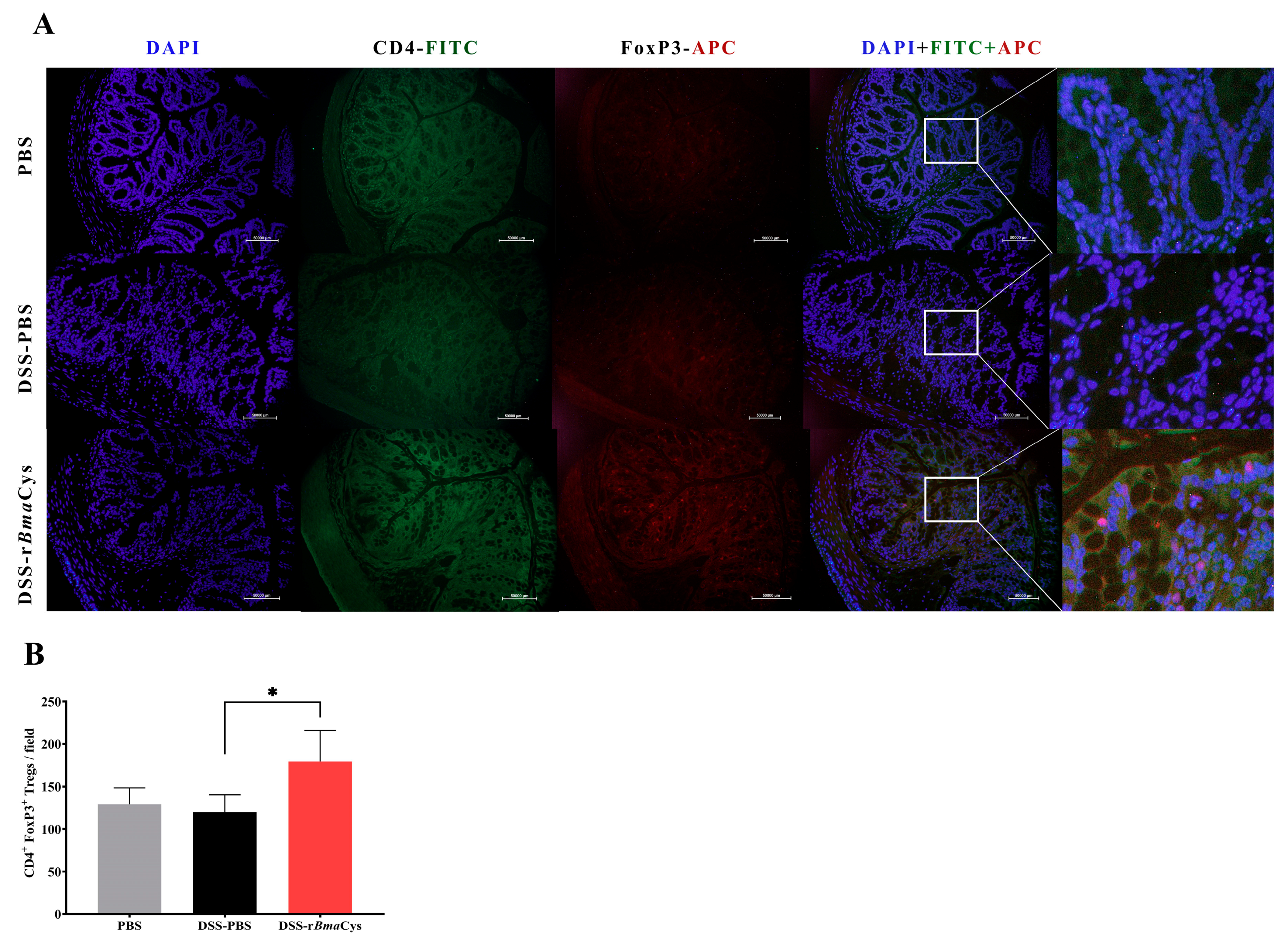 Biomedicines 07 00085 g004 Biomedicines 07 00085 g004