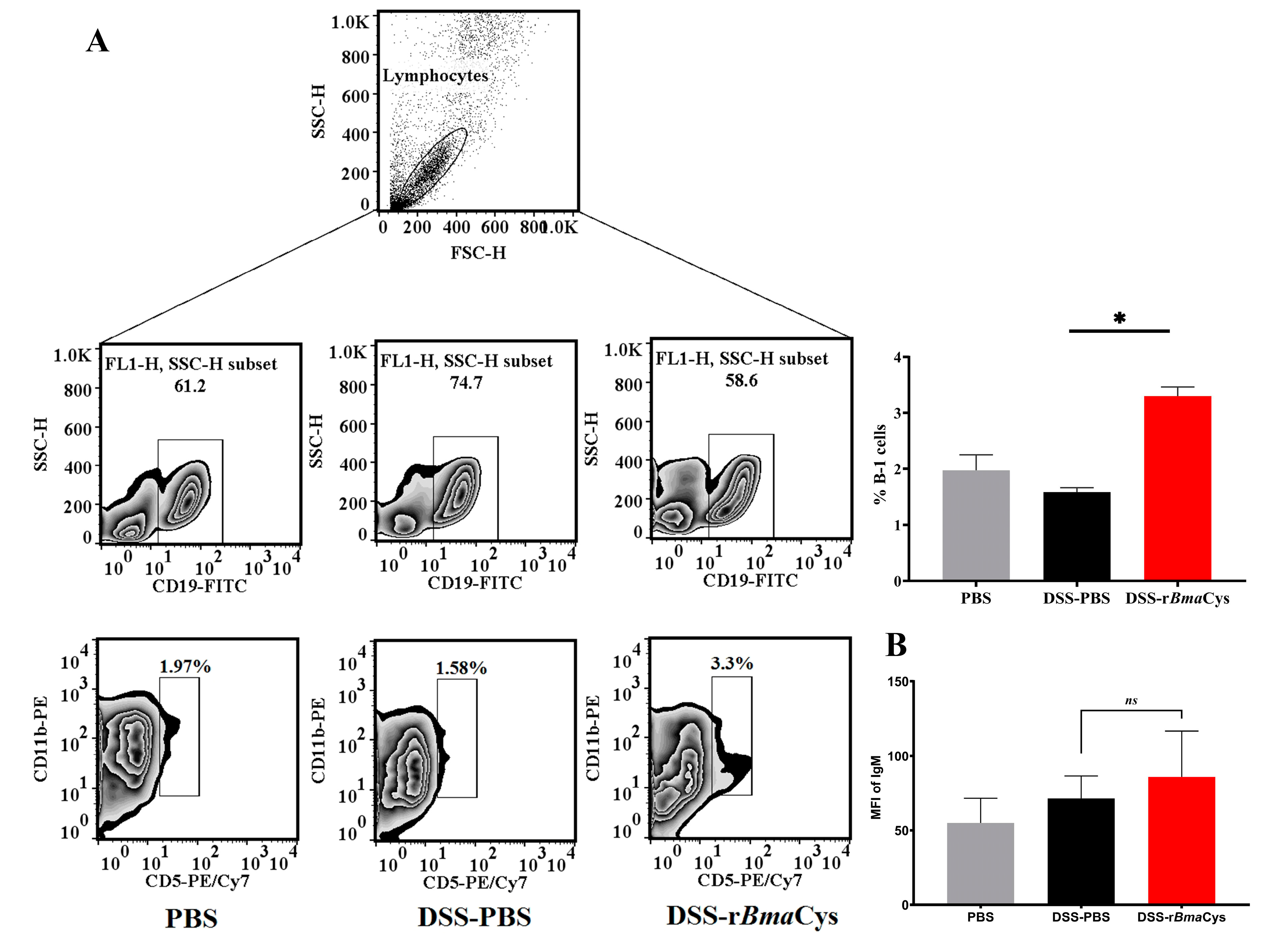 Biomedicines 07 00085 g006 Biomedicines 07 00085 g006