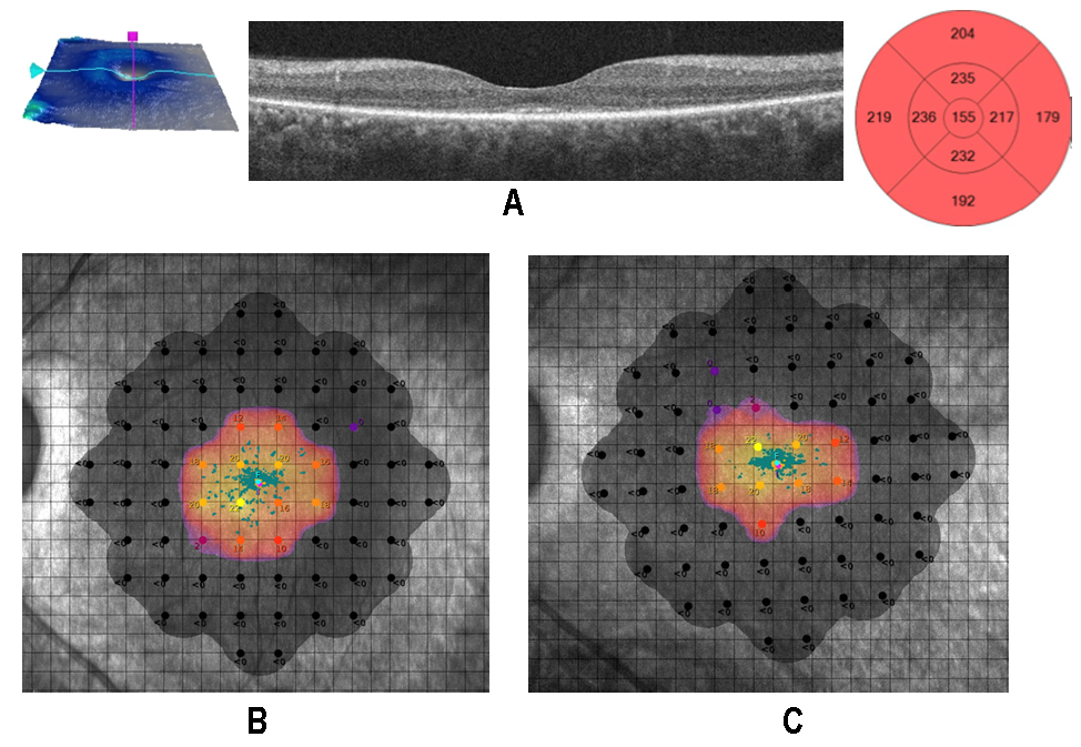 Biomedicines 07 00094 g005 Biomedicines 07 00094 g005
