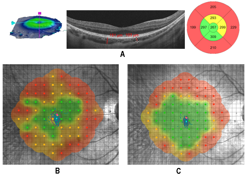 Biomedicines 07 00094 g006 Biomedicines 07 00094 g006
