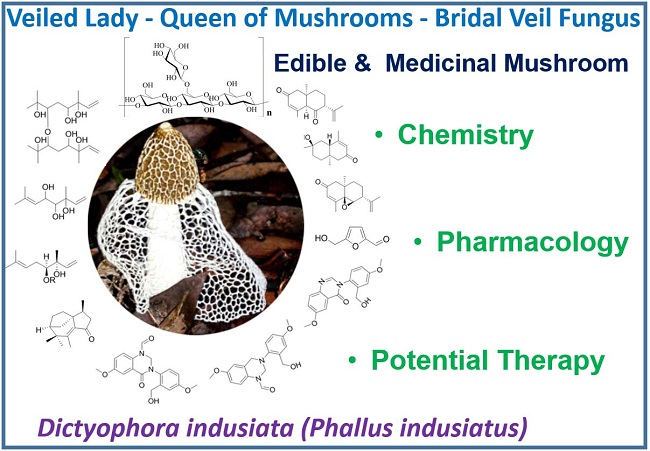 Biomedicines Free Full Text The Chemistry Pharmacology And Therapeutic Potential Of The Edible Mushroom Dictyophora Indusiata Vent Ex Pers Fischer Synn Phallus Indusiatus Biomedicines Free Full Text The Chemistry Pharmacology And Therapeutic Potential Of The Edible Mushroom Dictyophora Indusiata Vent Ex Pers Fischer Synn Phallus Indusiatus