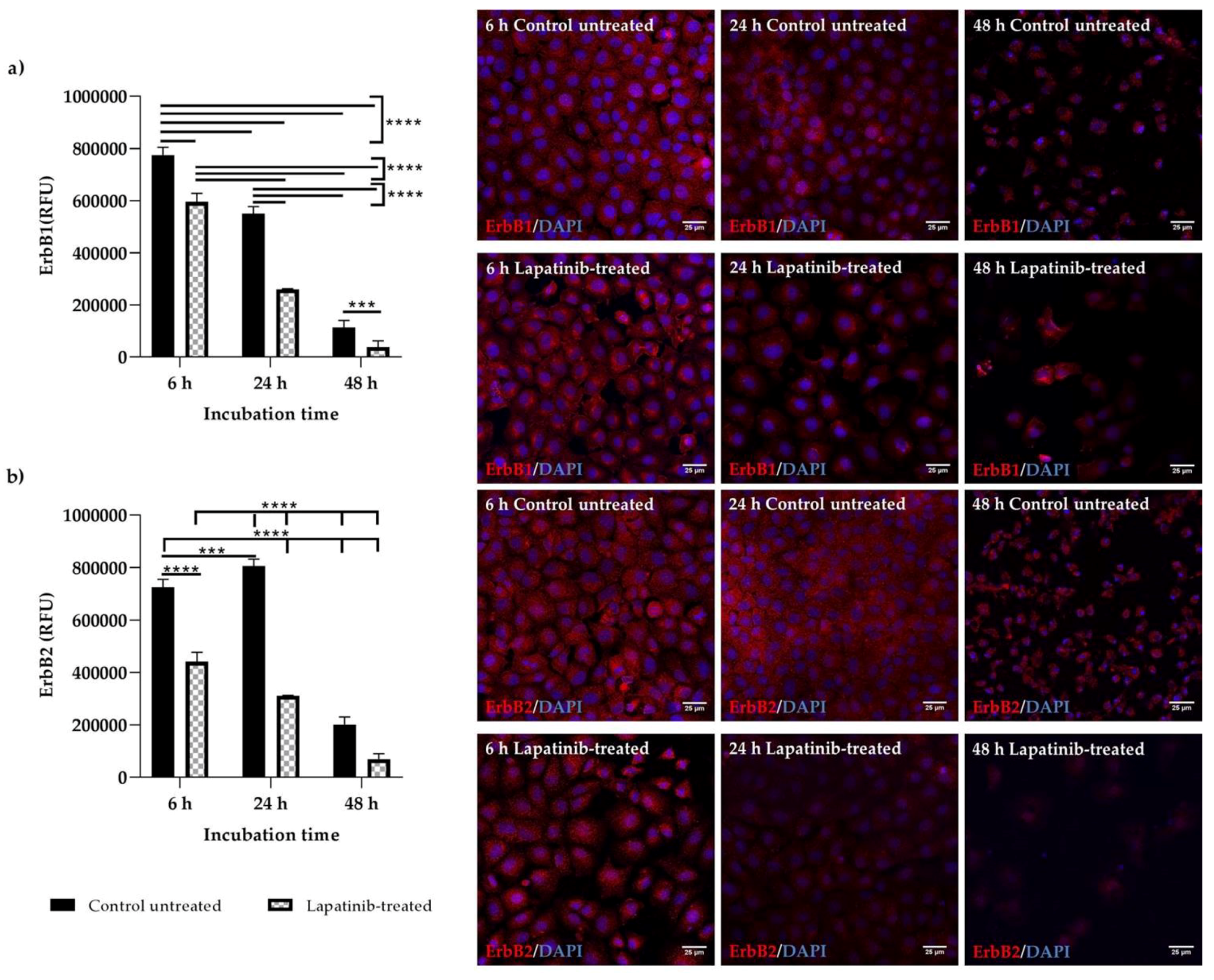 Biomedicines 08 00002 g005